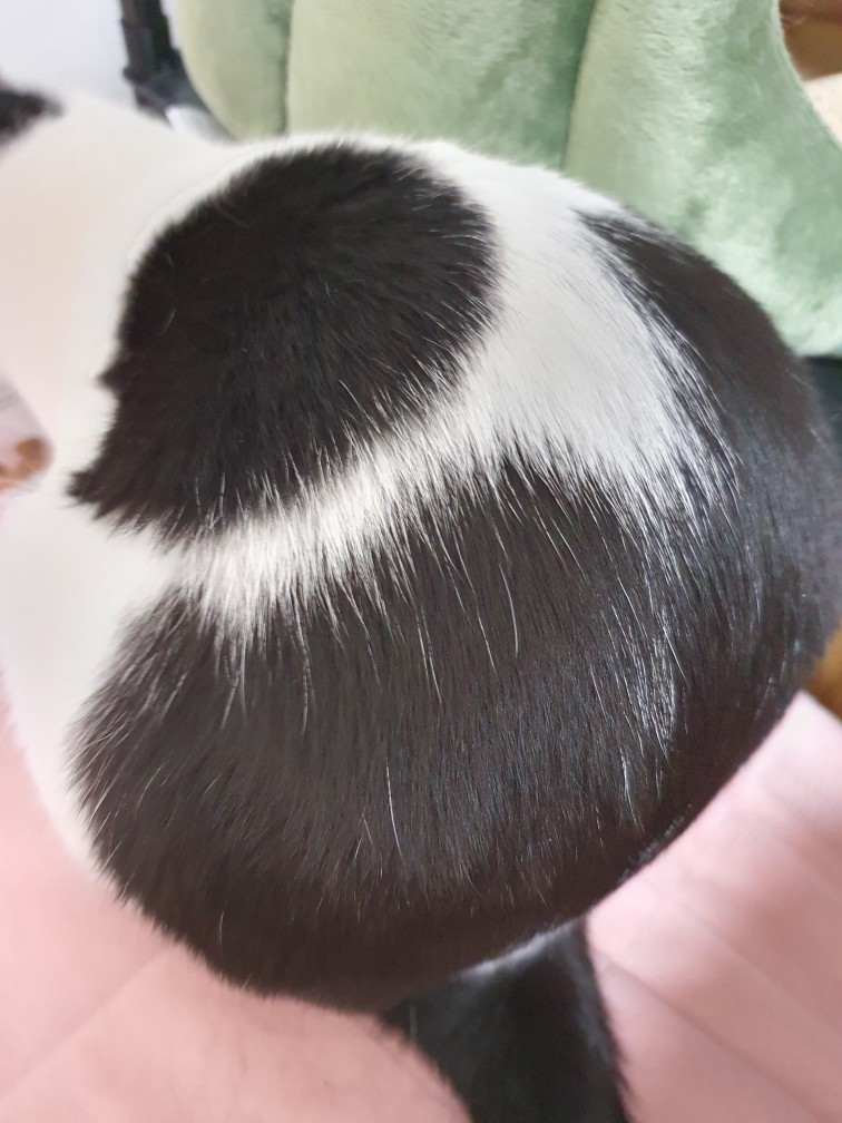 바담이 소식 올려요~