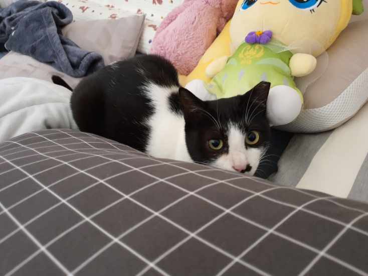 바담이 소식 올려요~