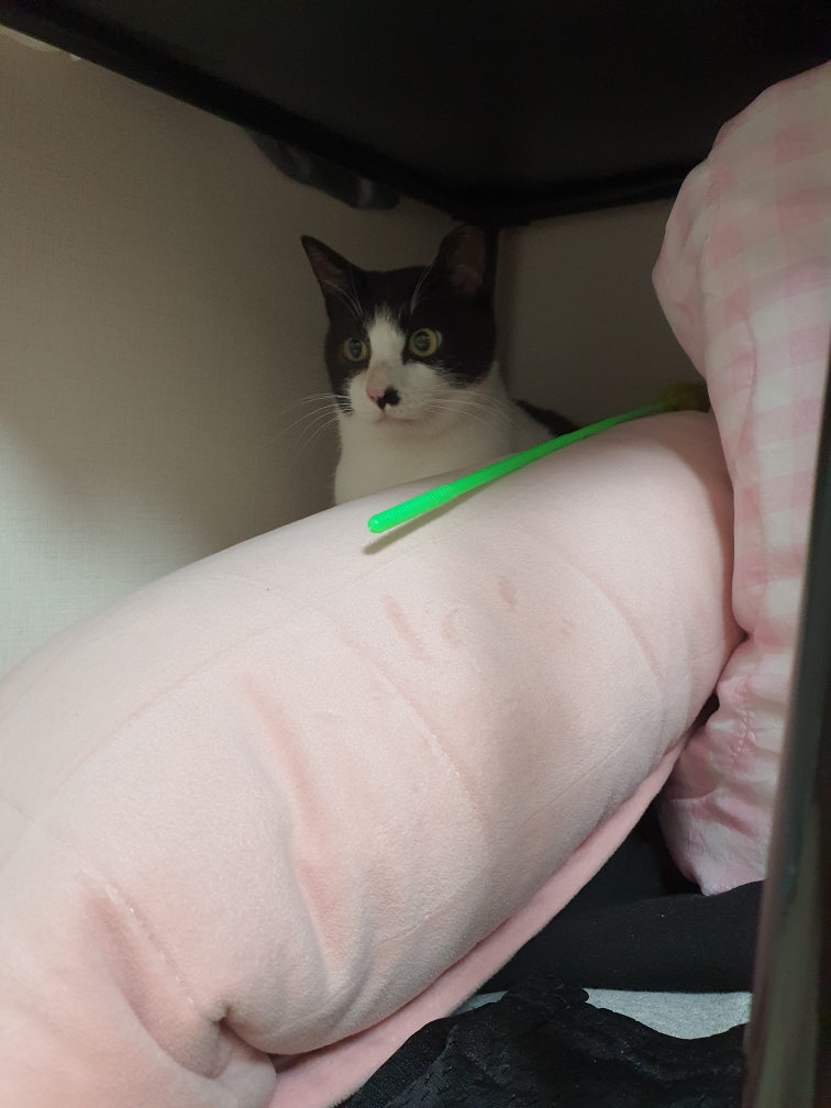 바담이 소식 올려요~