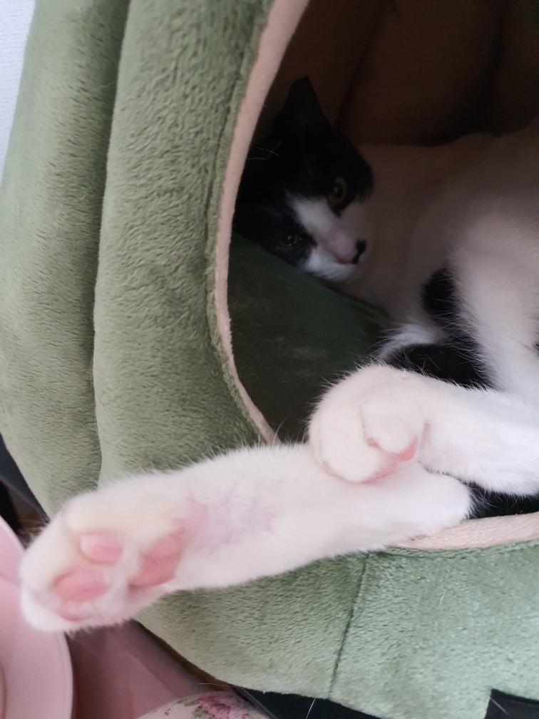 바담이 소식 올려요~