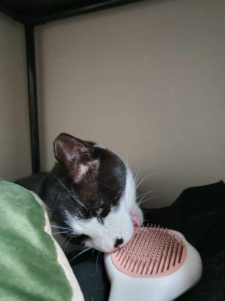 바담이 소식 올려요~