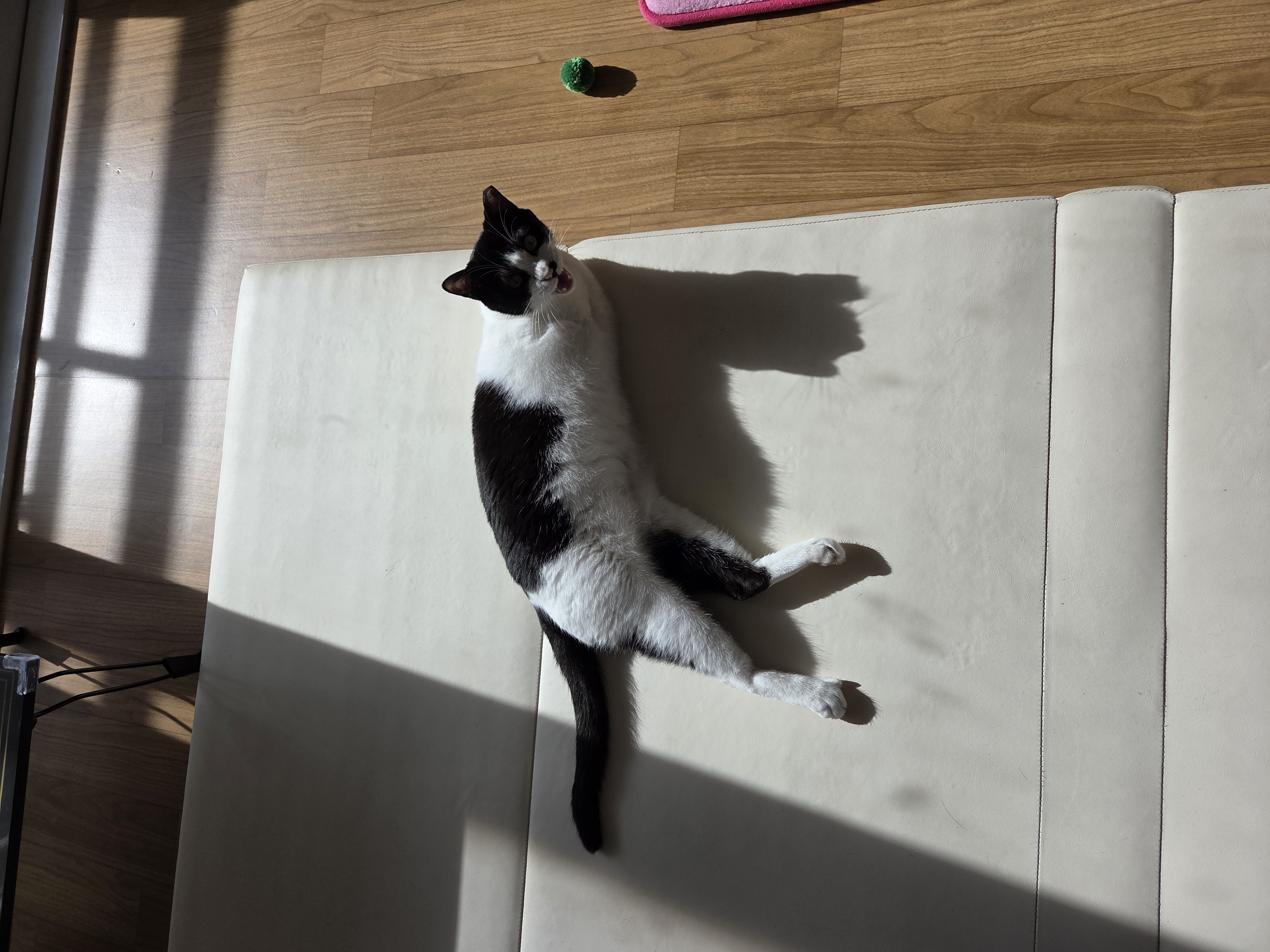 바담이 1년 후기