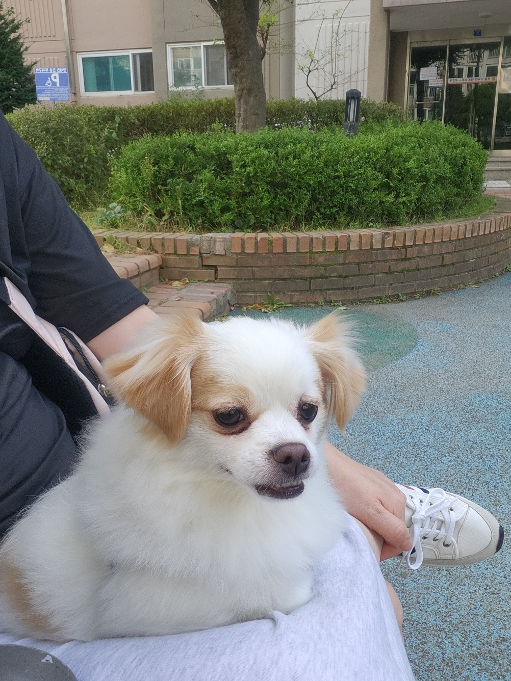 투투 잘 지내고 있어요