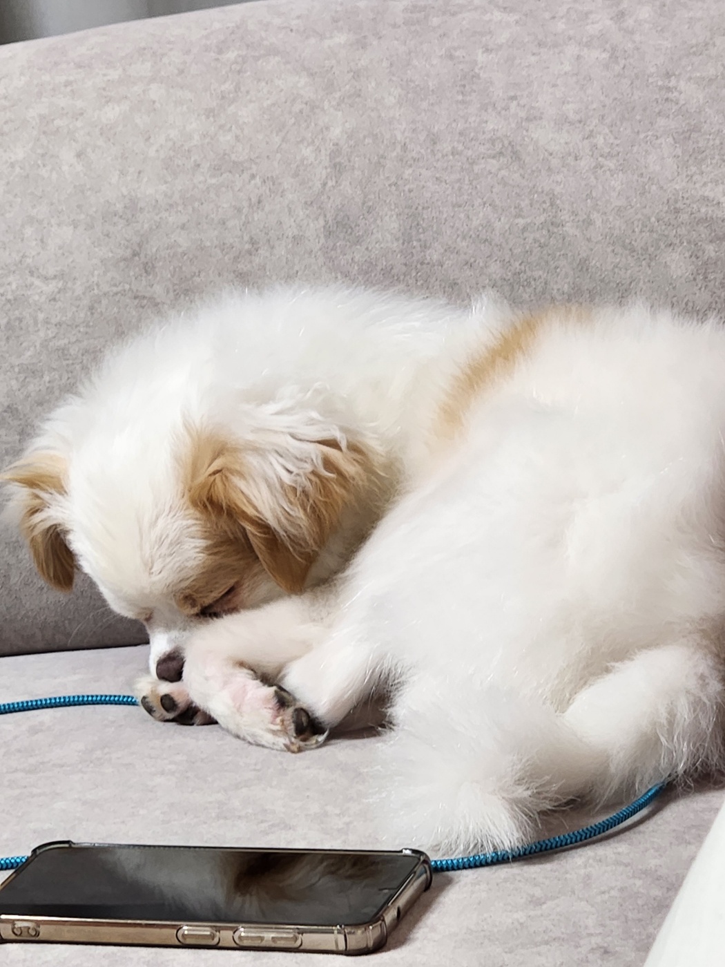 투투 잘 지내고 있어요