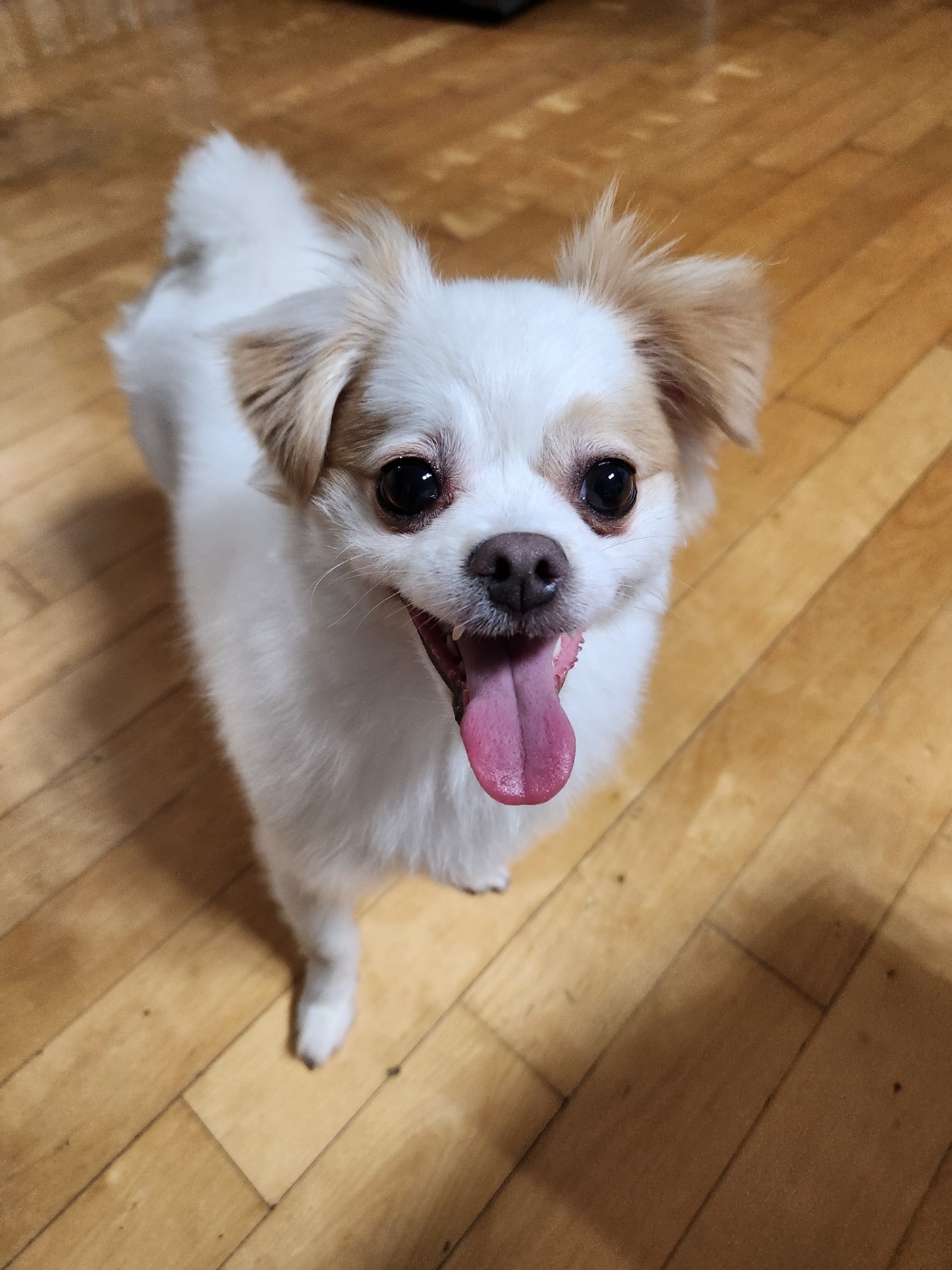 투투 잘 지내고 있어요