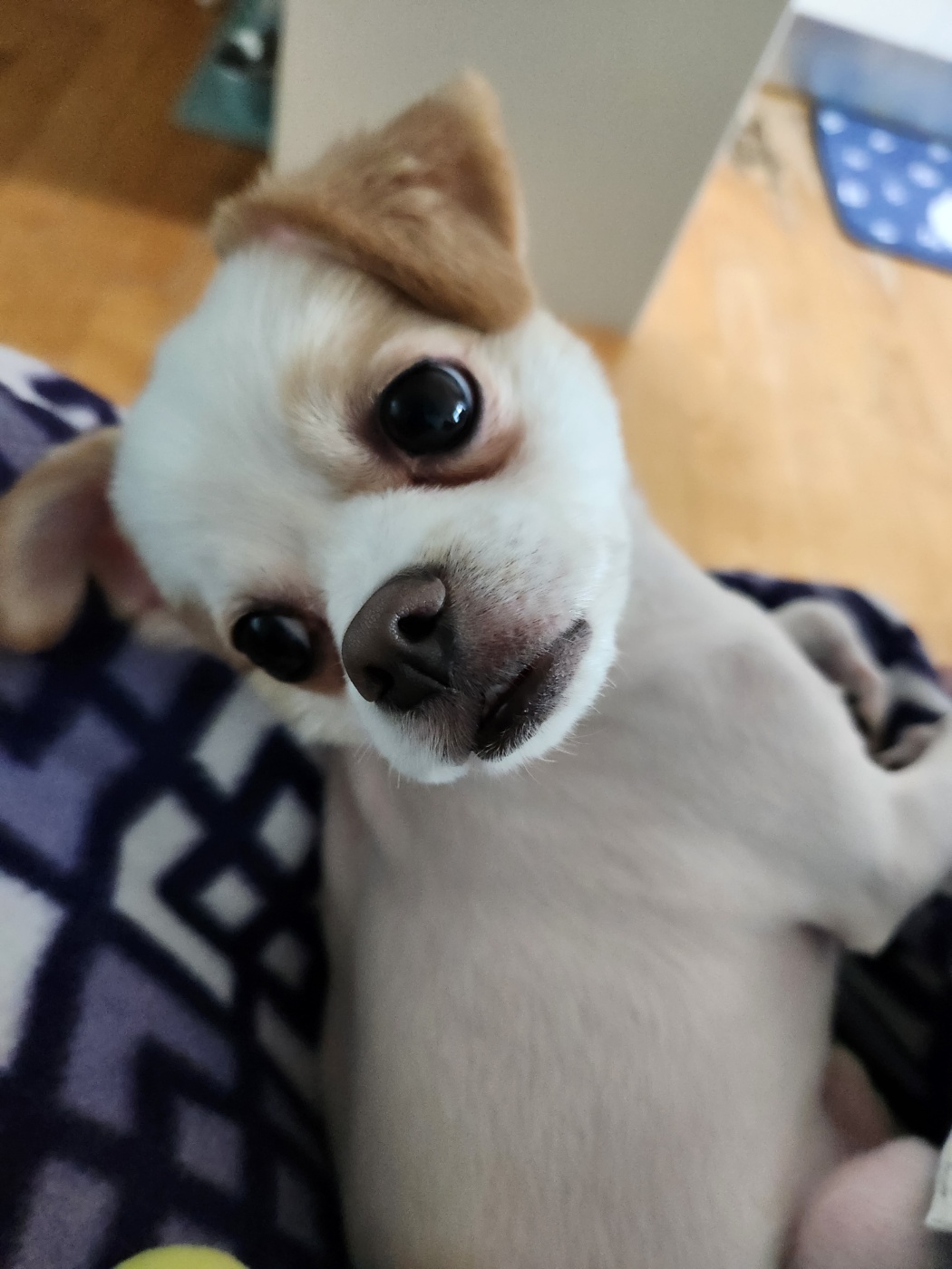 투투 잘 지내고 있어요