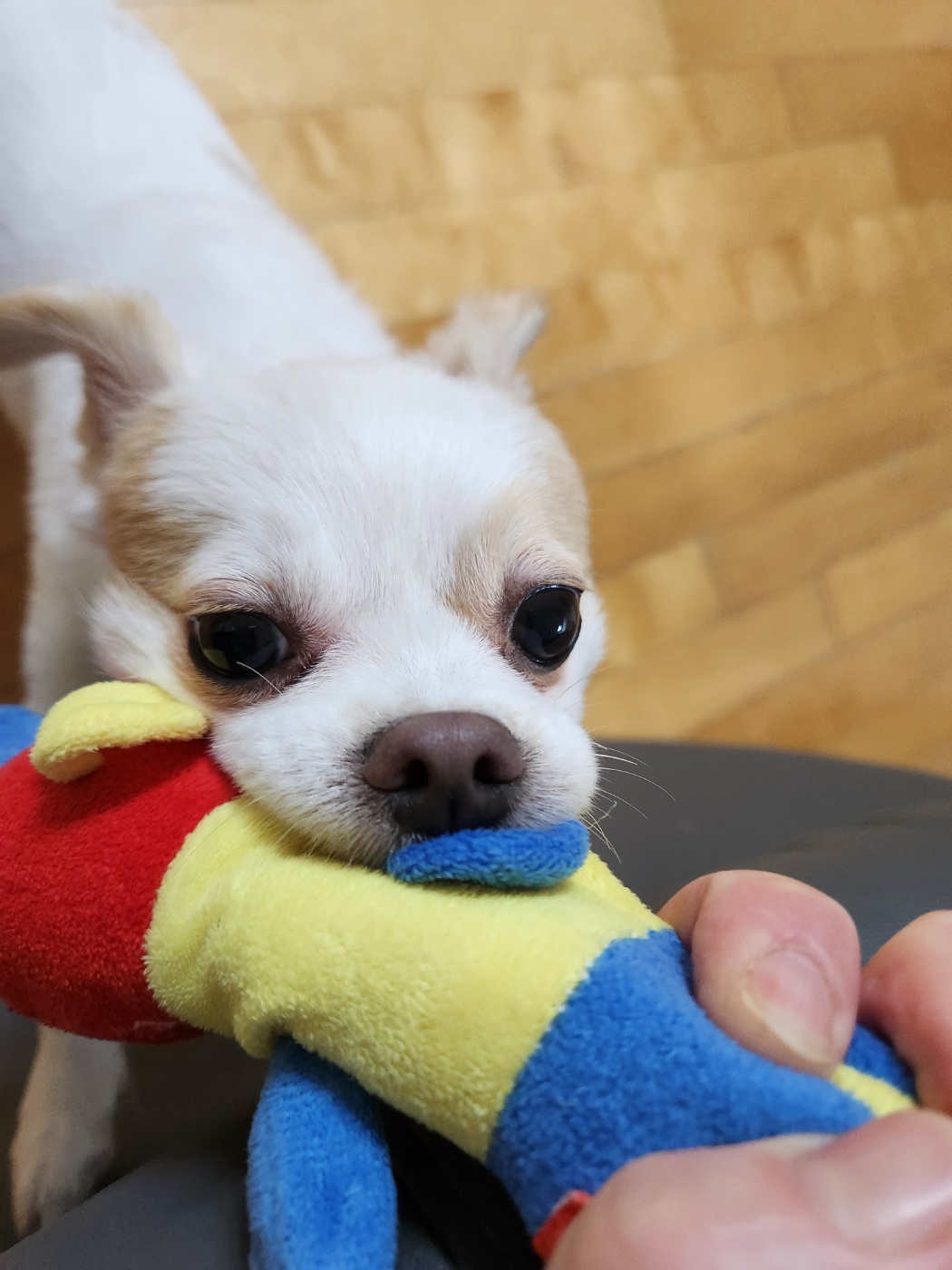 투투 잘 지내고 있어요