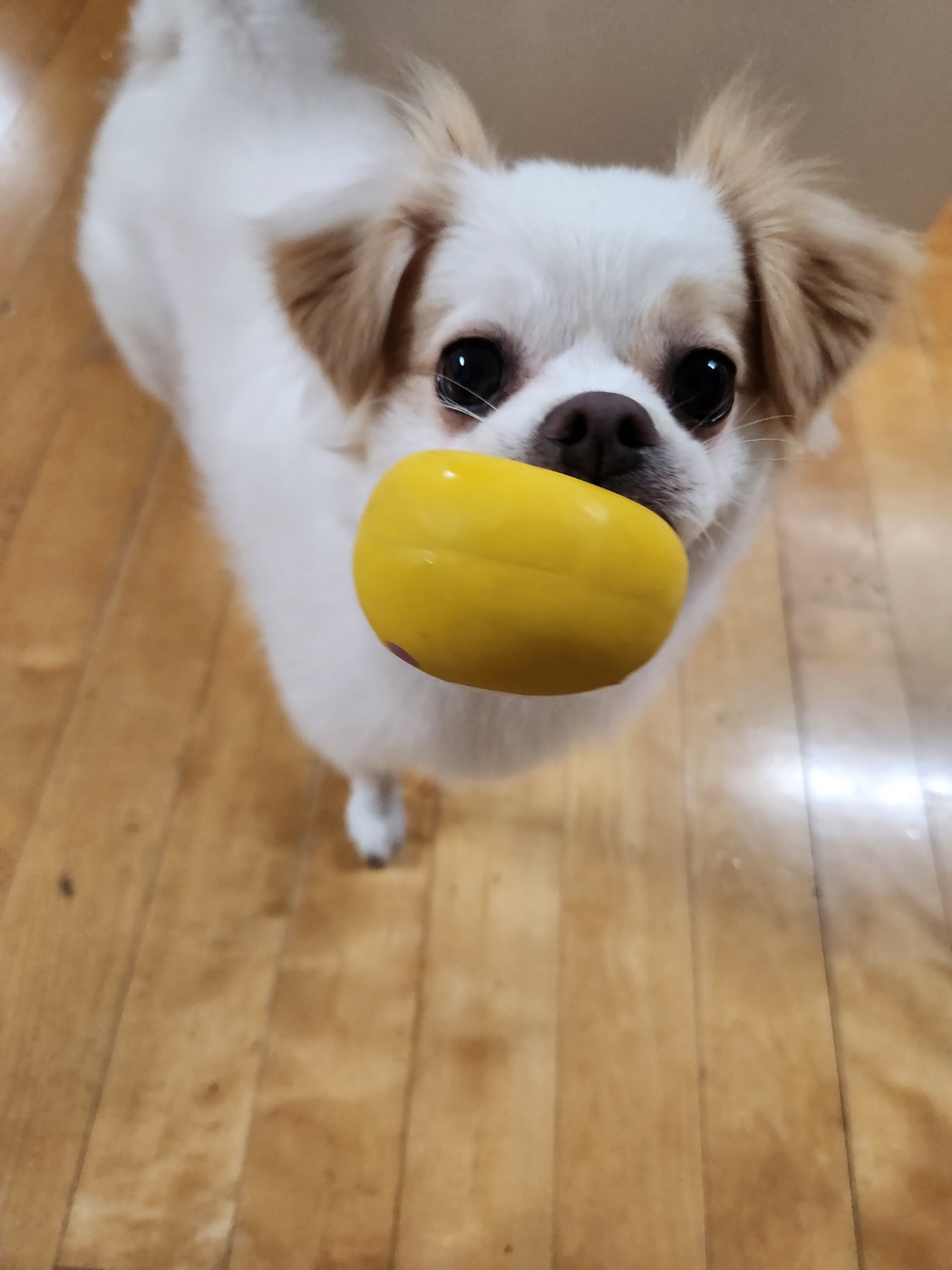 투투 잘 지내고 있어요