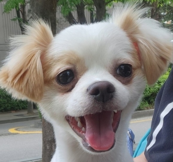 투투 잘 지내고 있어요