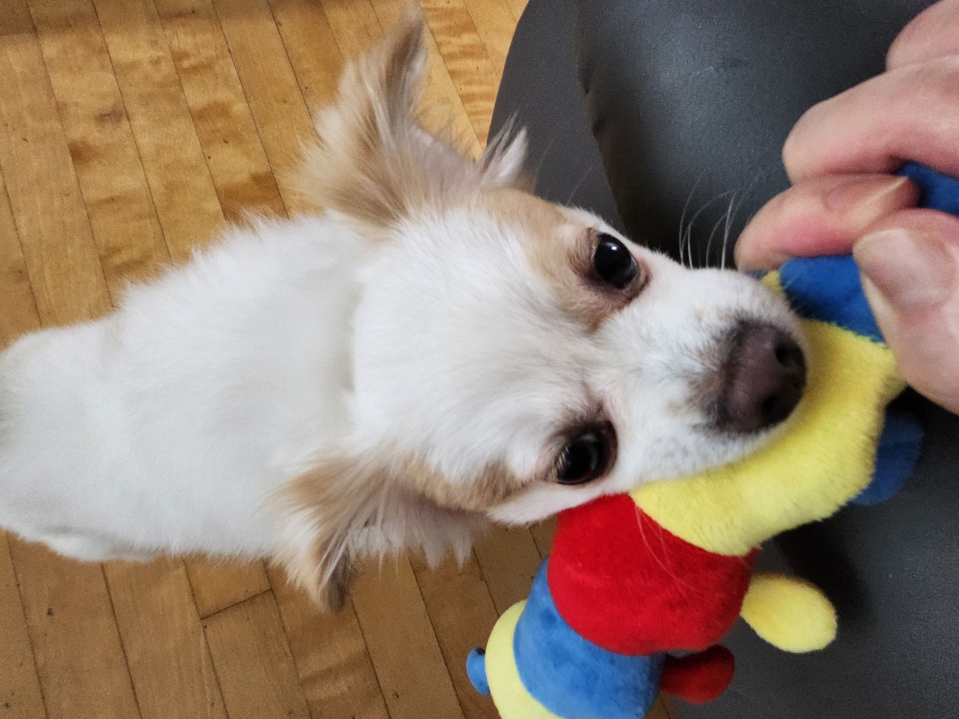 투투 잘 지내고 있어요