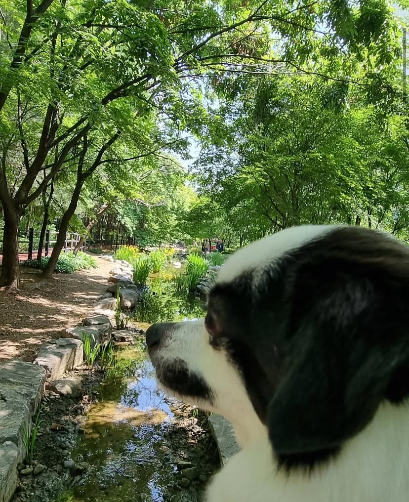또리 4년후기❤️ (구 조커)