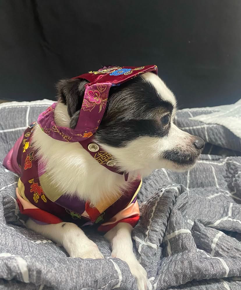 또리 4년후기❤️ (구 조커)