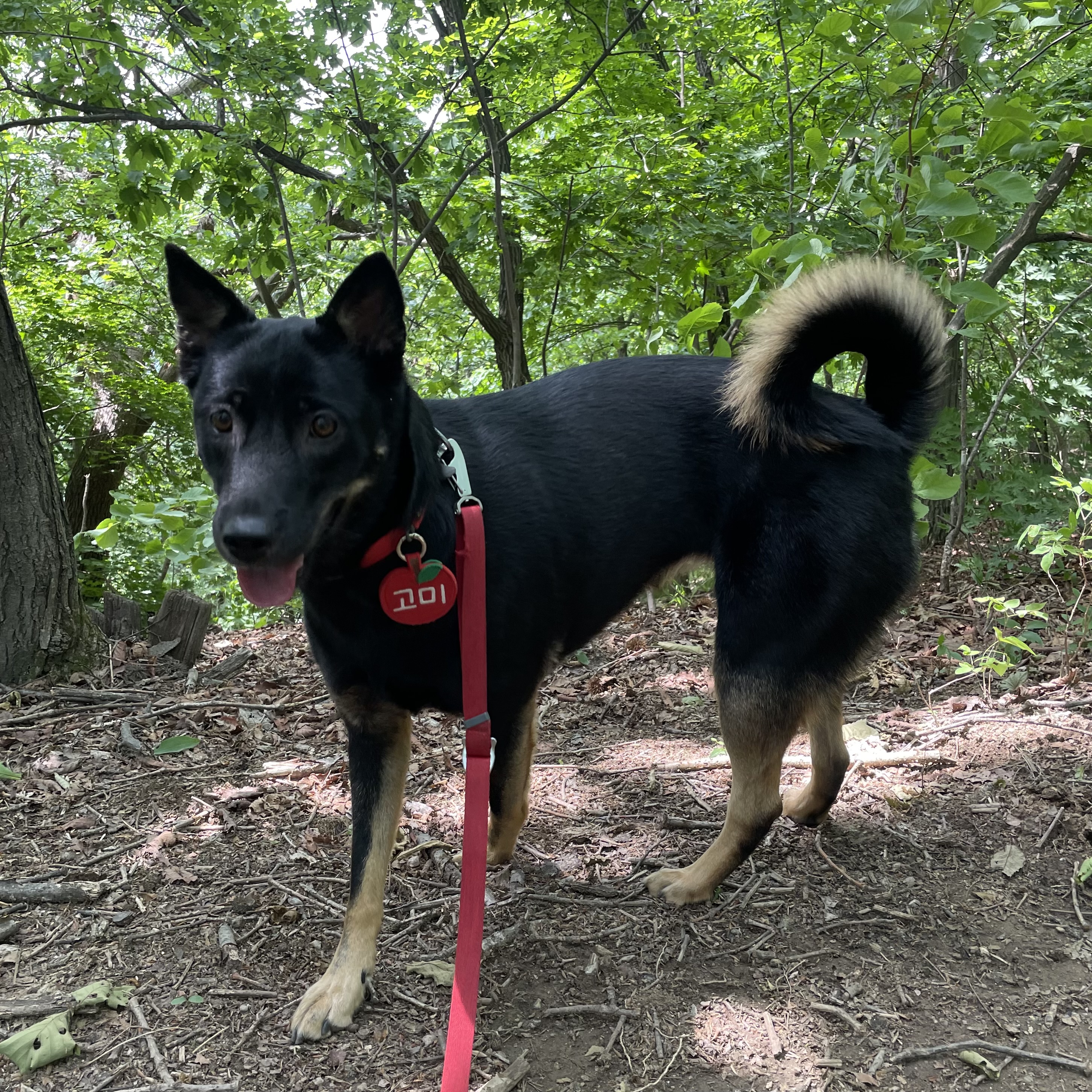 고미가 된 곰곰 3주년