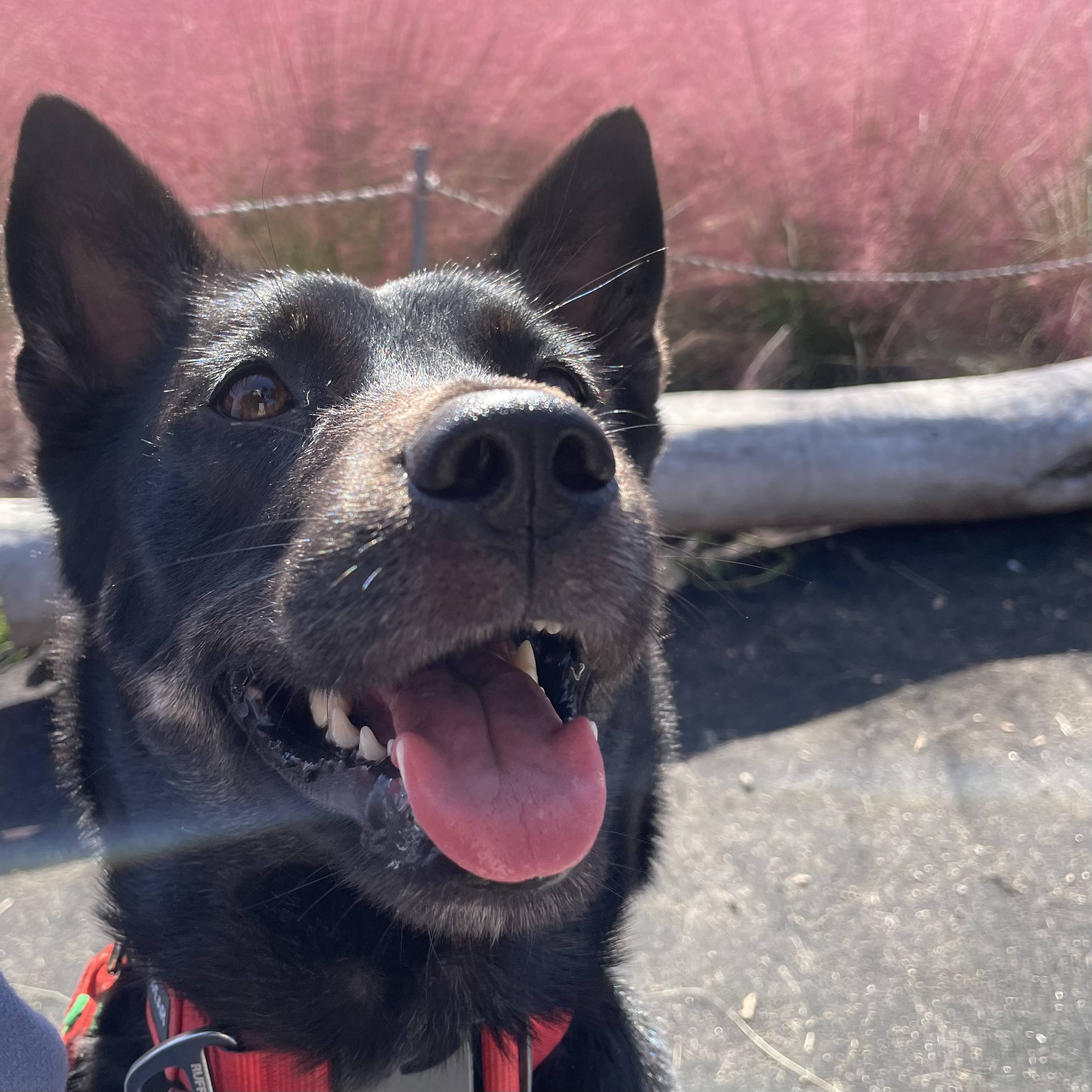 고미가 된 곰곰 3주년