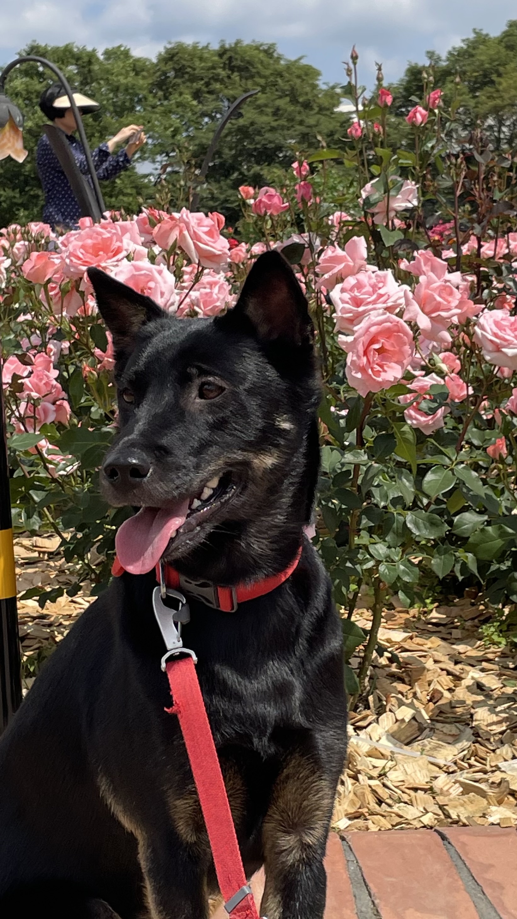 고미가 된 곰곰 3주년