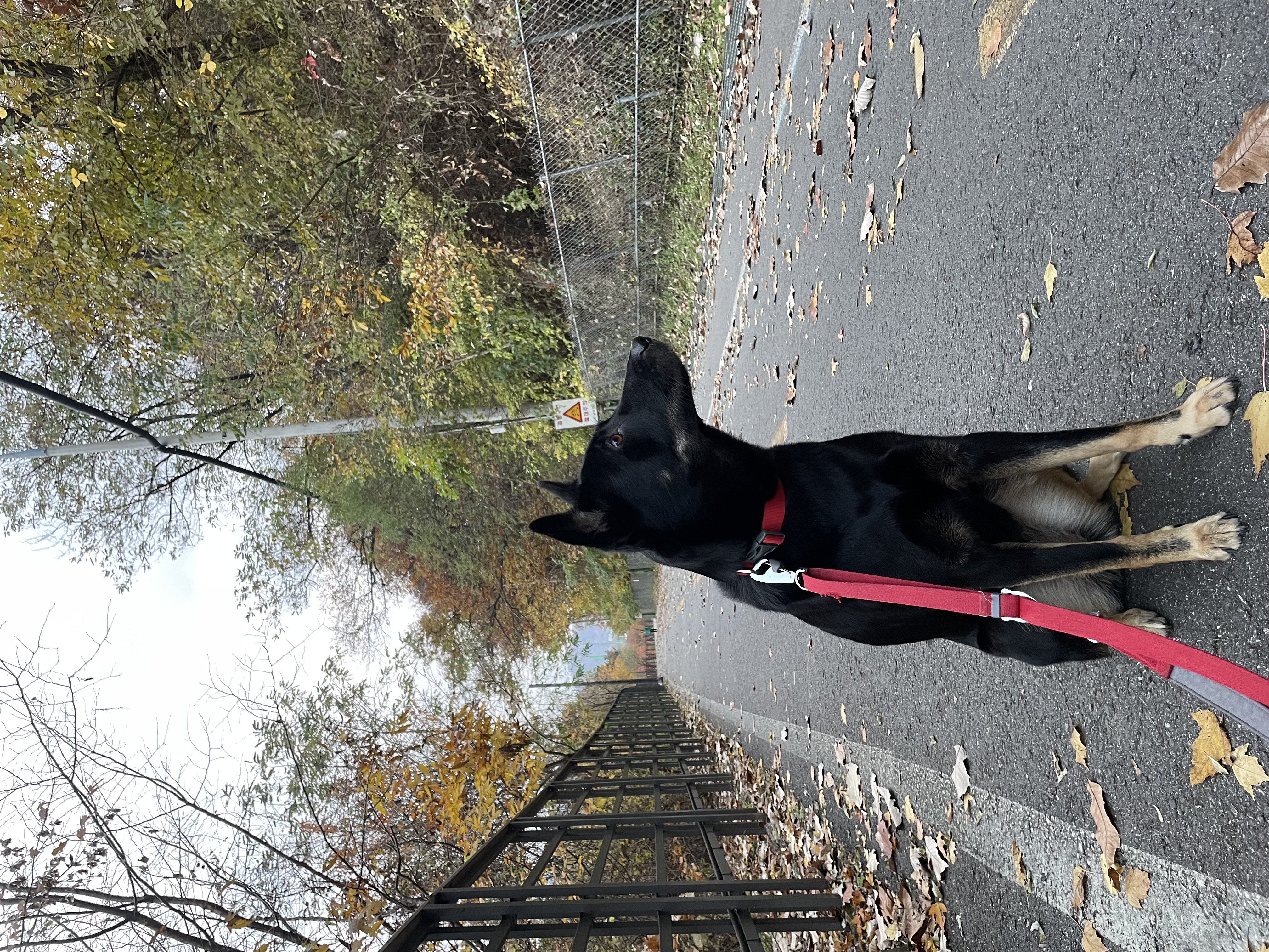 고미가 된 곰곰 3주년