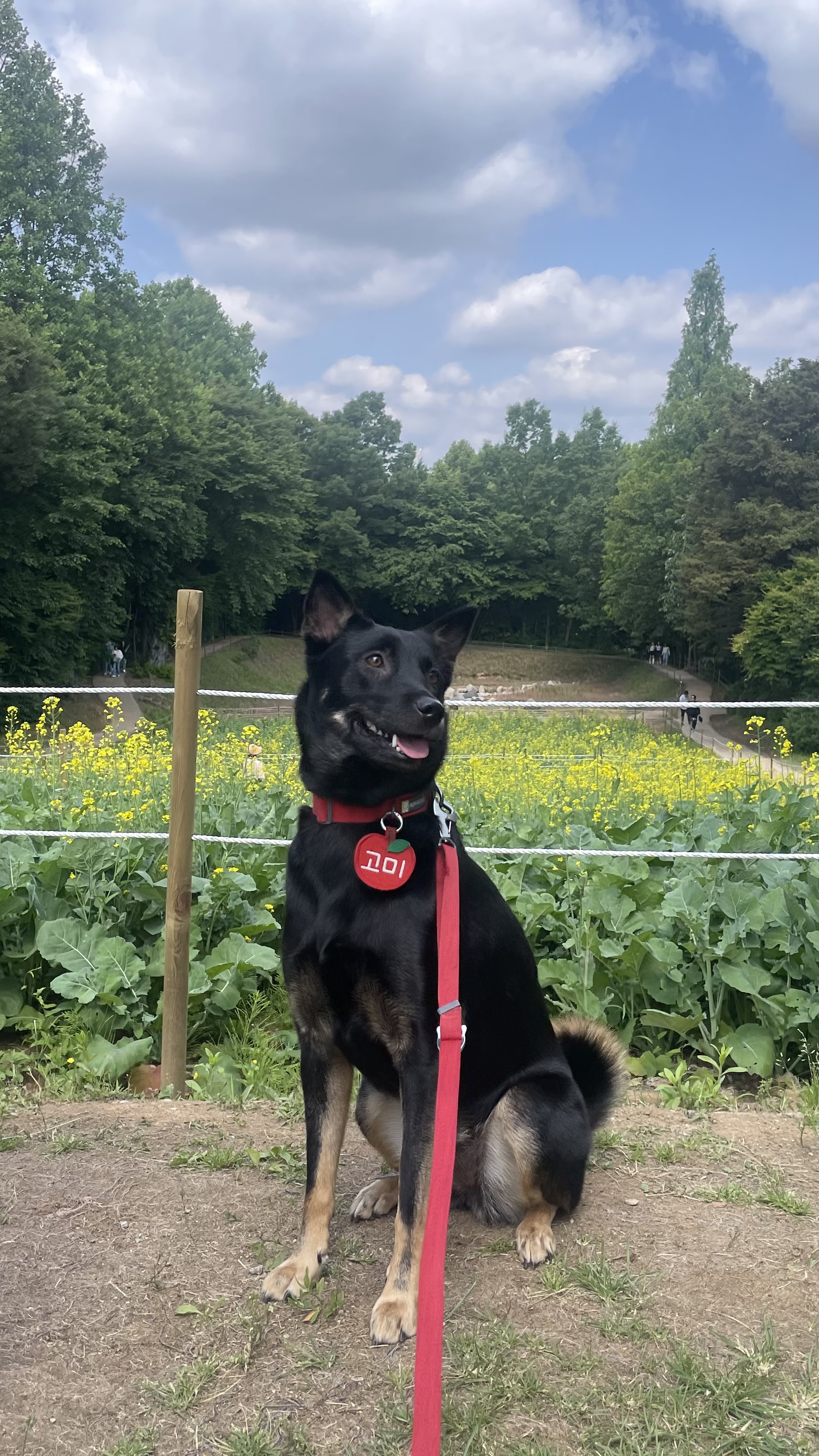고미가 된 곰곰 3주년
