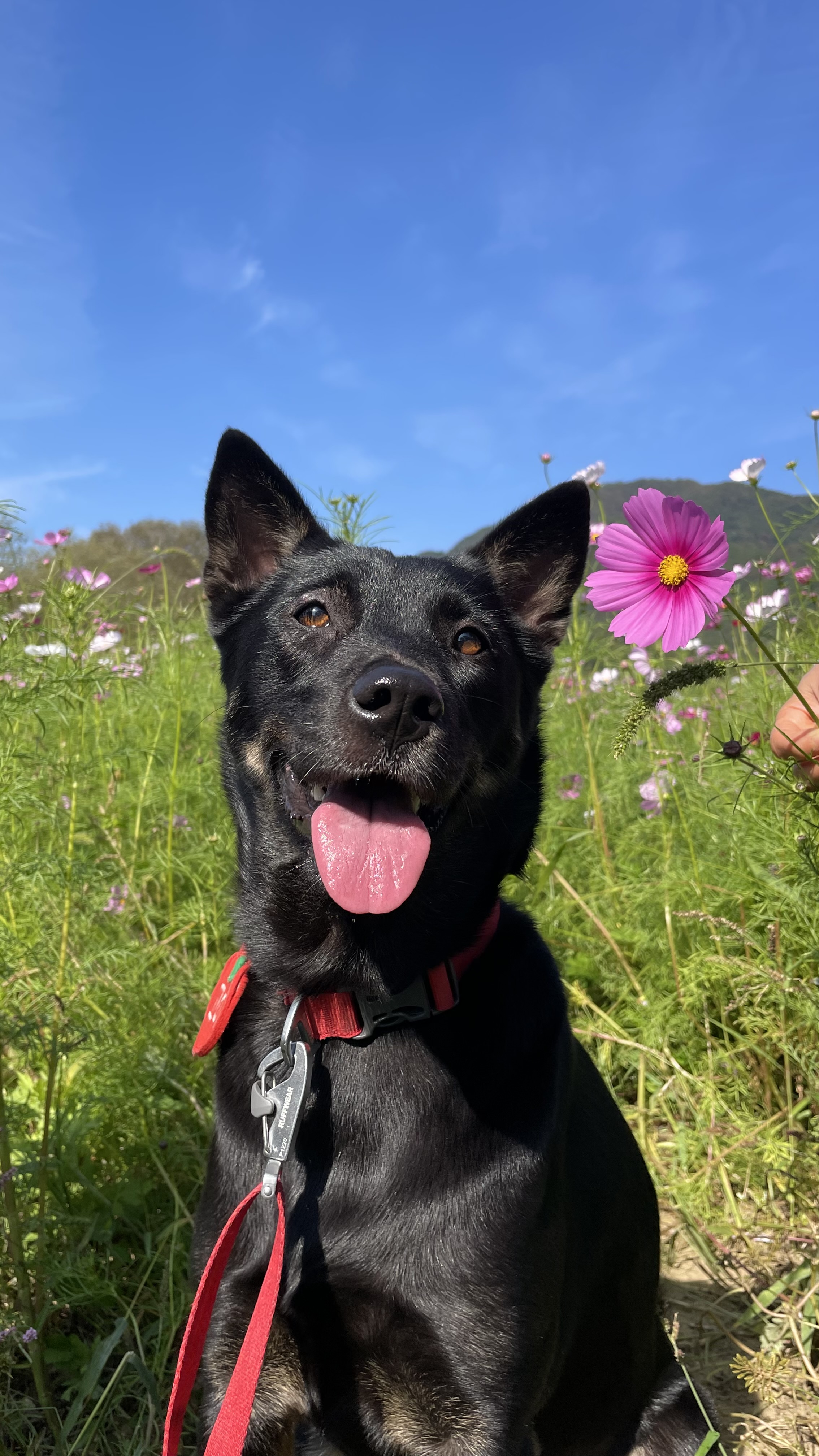 고미가 된 곰곰 3주년