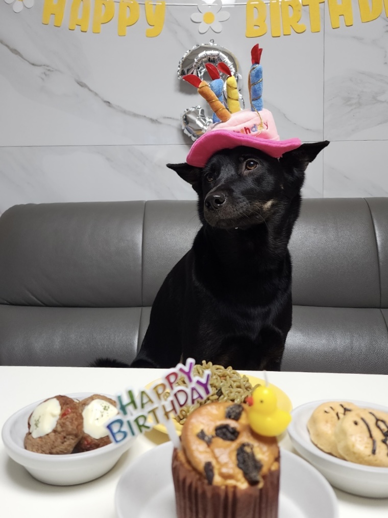 고미가 된 곰곰 3주년