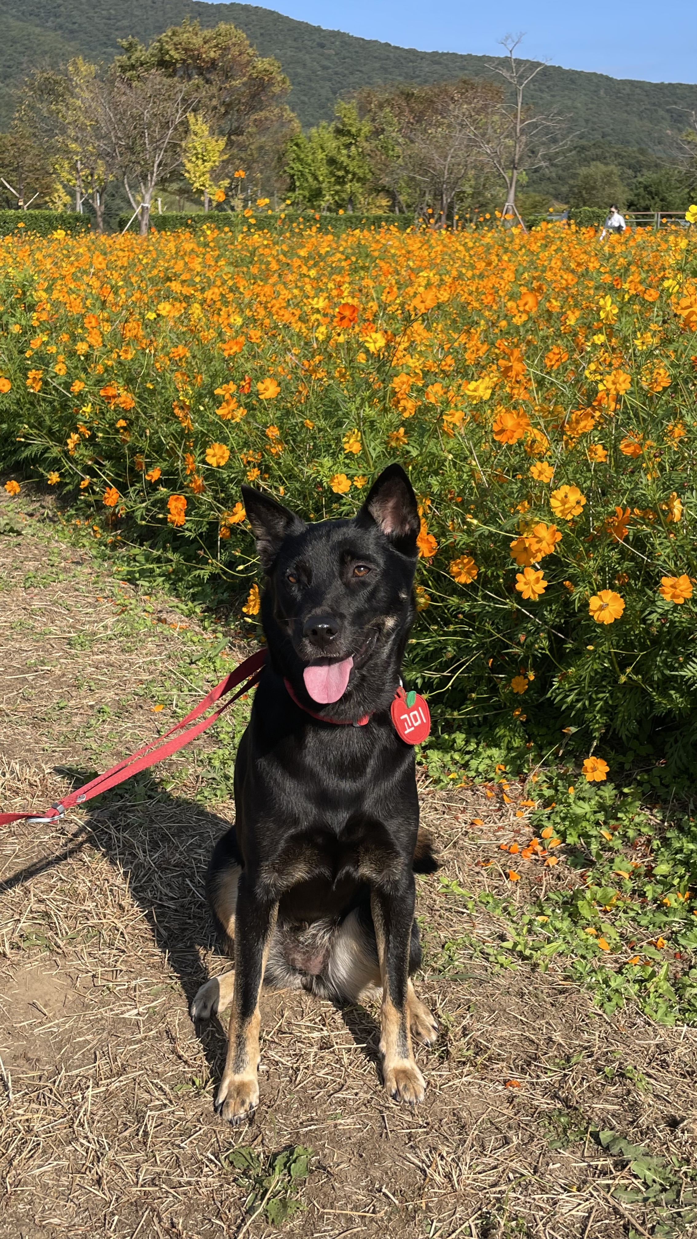 고미가 된 곰곰 3주년