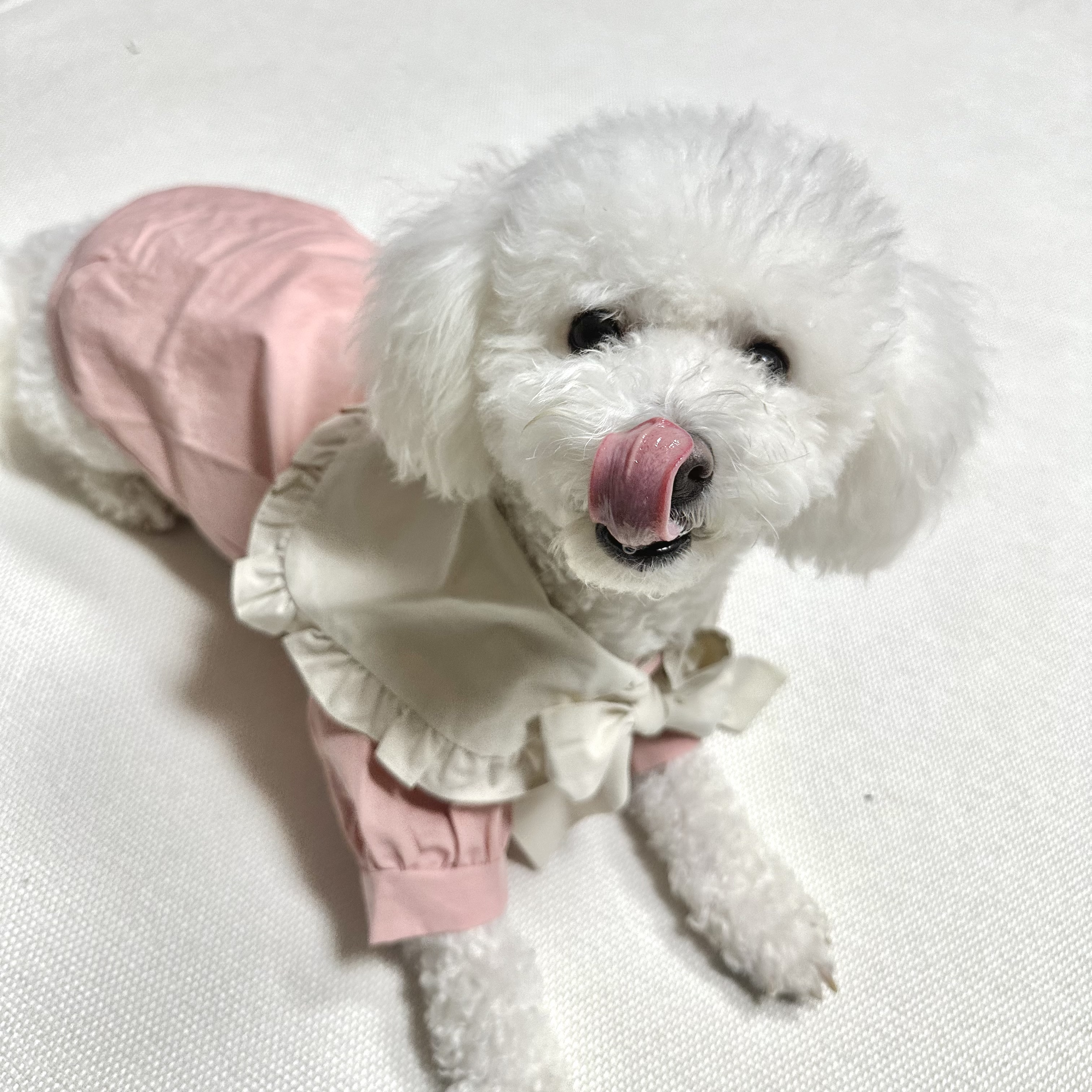 모찌(전 아름이)의 여덟달째 이야기