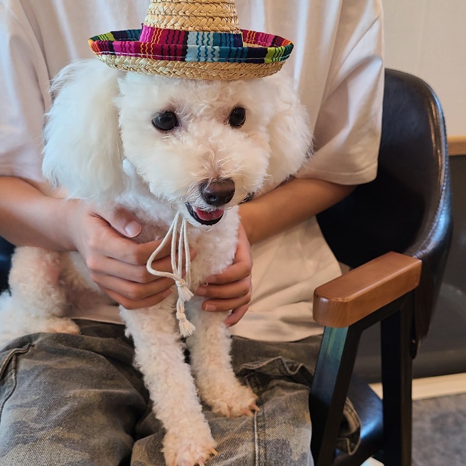 모찌(전 아름이)의 여덟달째 이야기