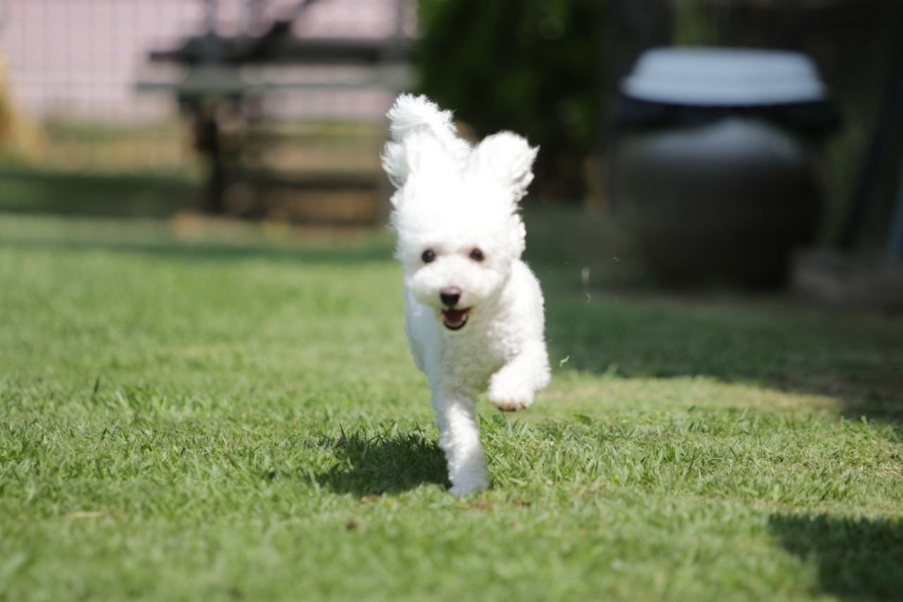 모찌(전 아름이)의 여덟달째 이야기
