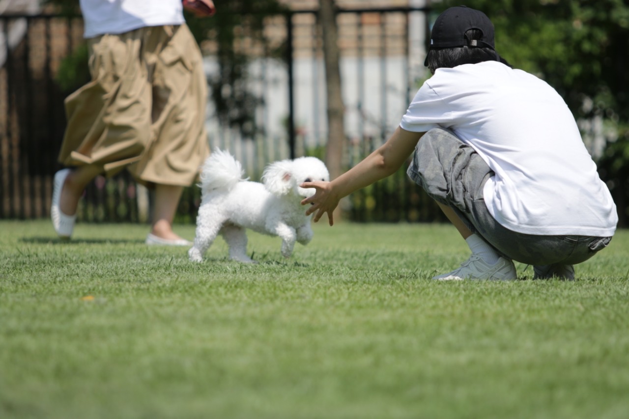 모찌(전 아름이)의 여덟달째 이야기