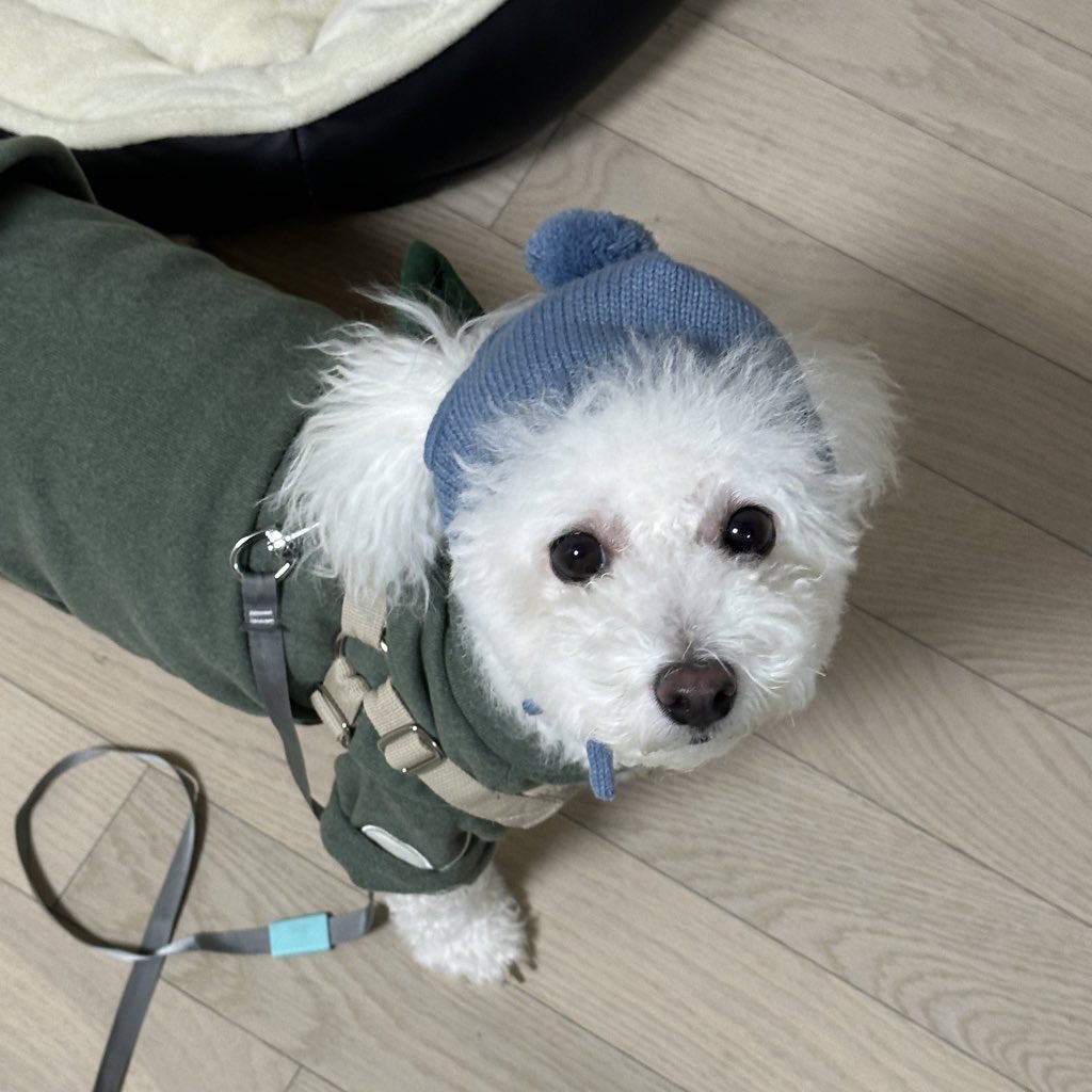 모찌(전 아름이)의 여덟달째 이야기