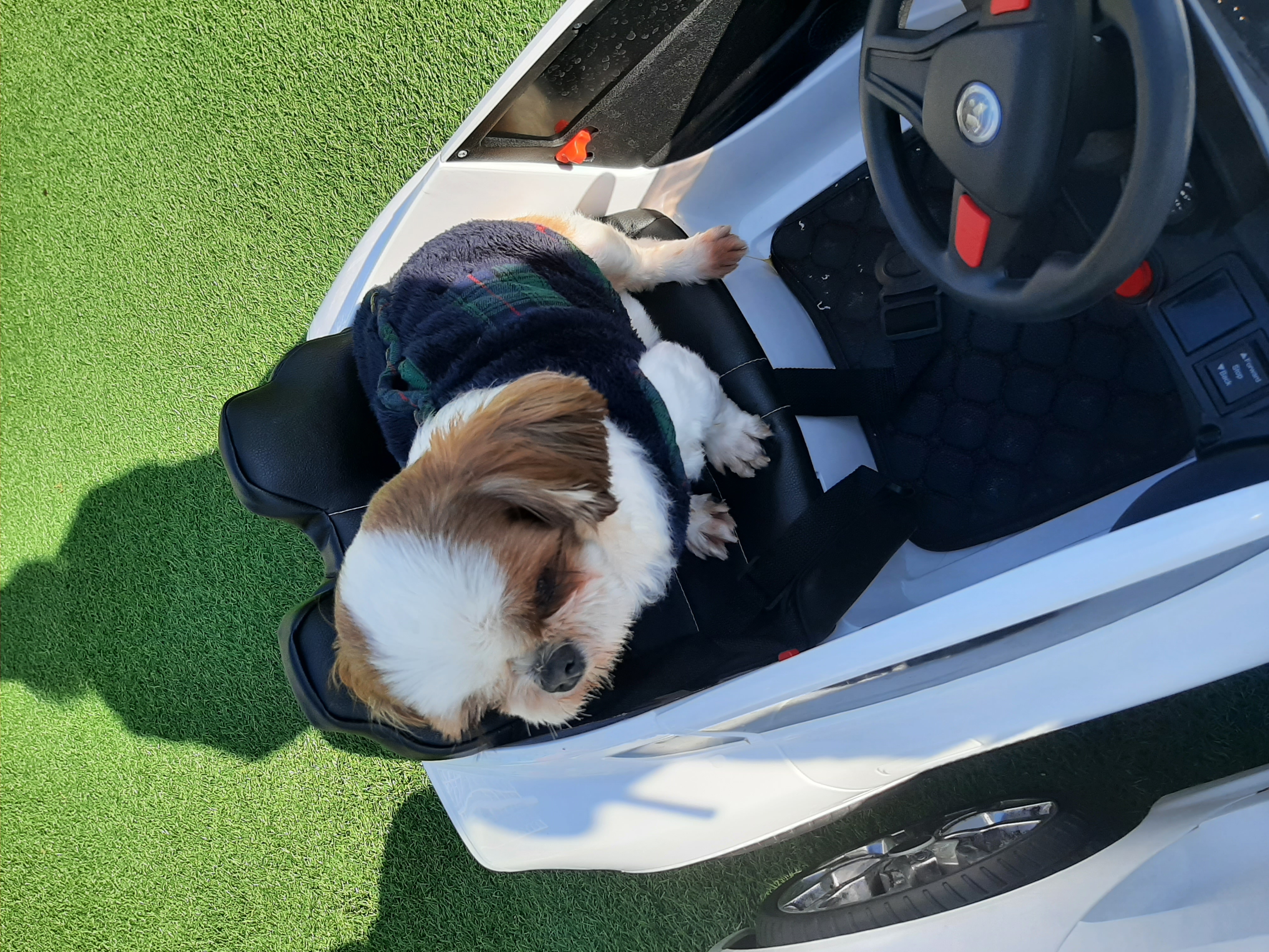 뽀야 ♡추운겨울 따뜻하게 잘 지내고있어요