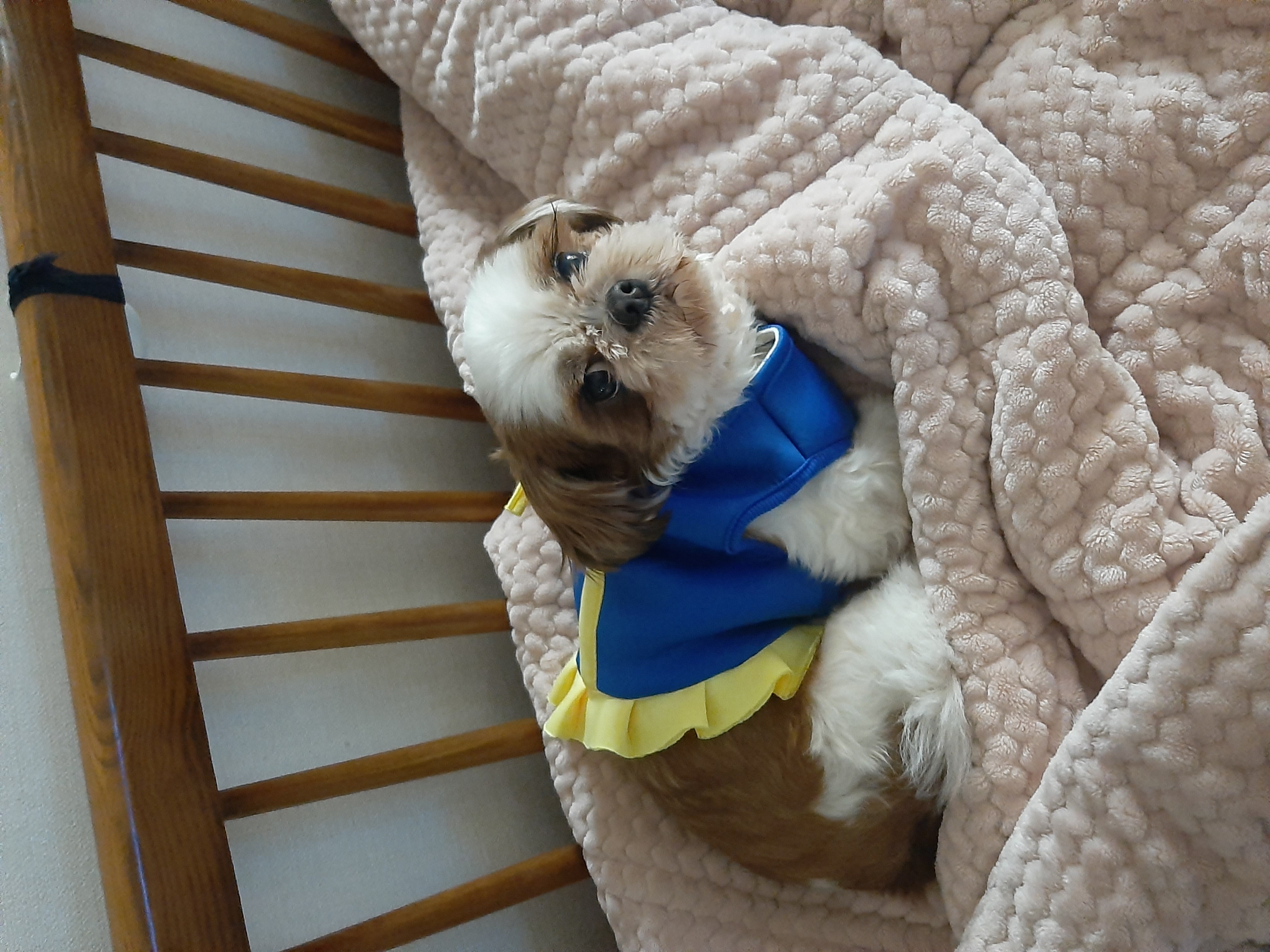 뽀야 ♡추운겨울 따뜻하게 잘 지내고있어요