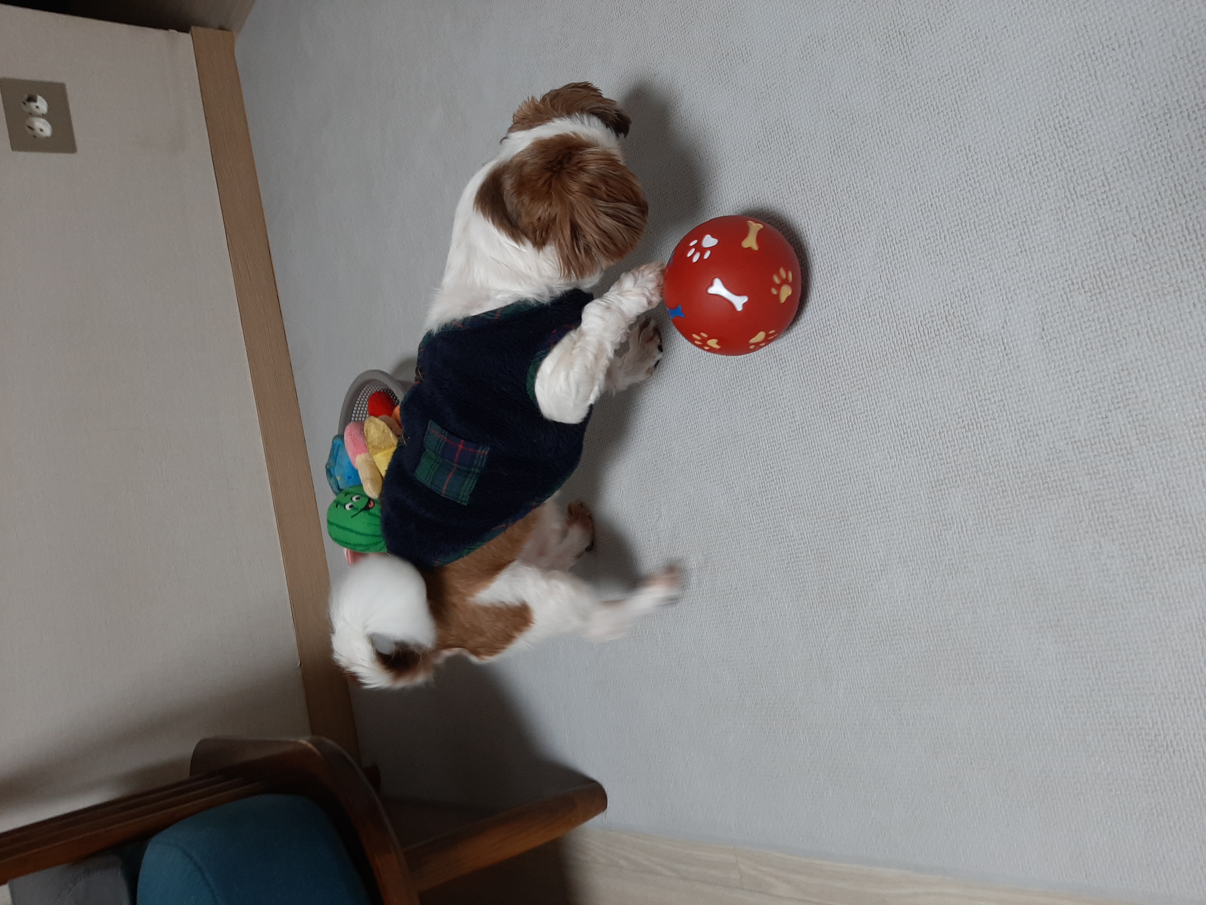 뽀야 ♡추운겨울 따뜻하게 잘 지내고있어요