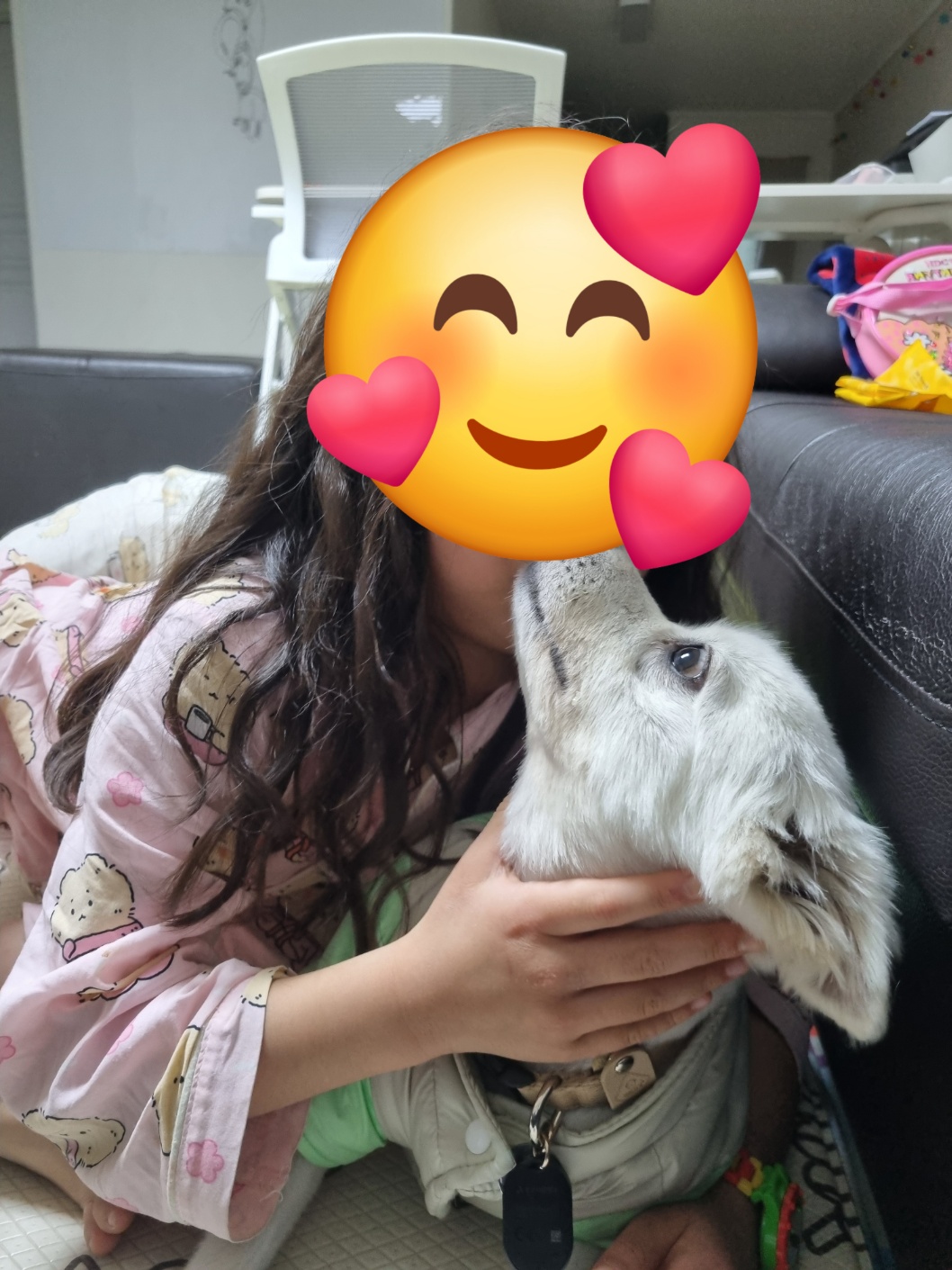 럭키(아유)의 한 달 이야기