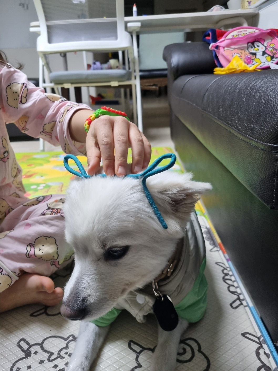 럭키(아유)의 한 달 이야기