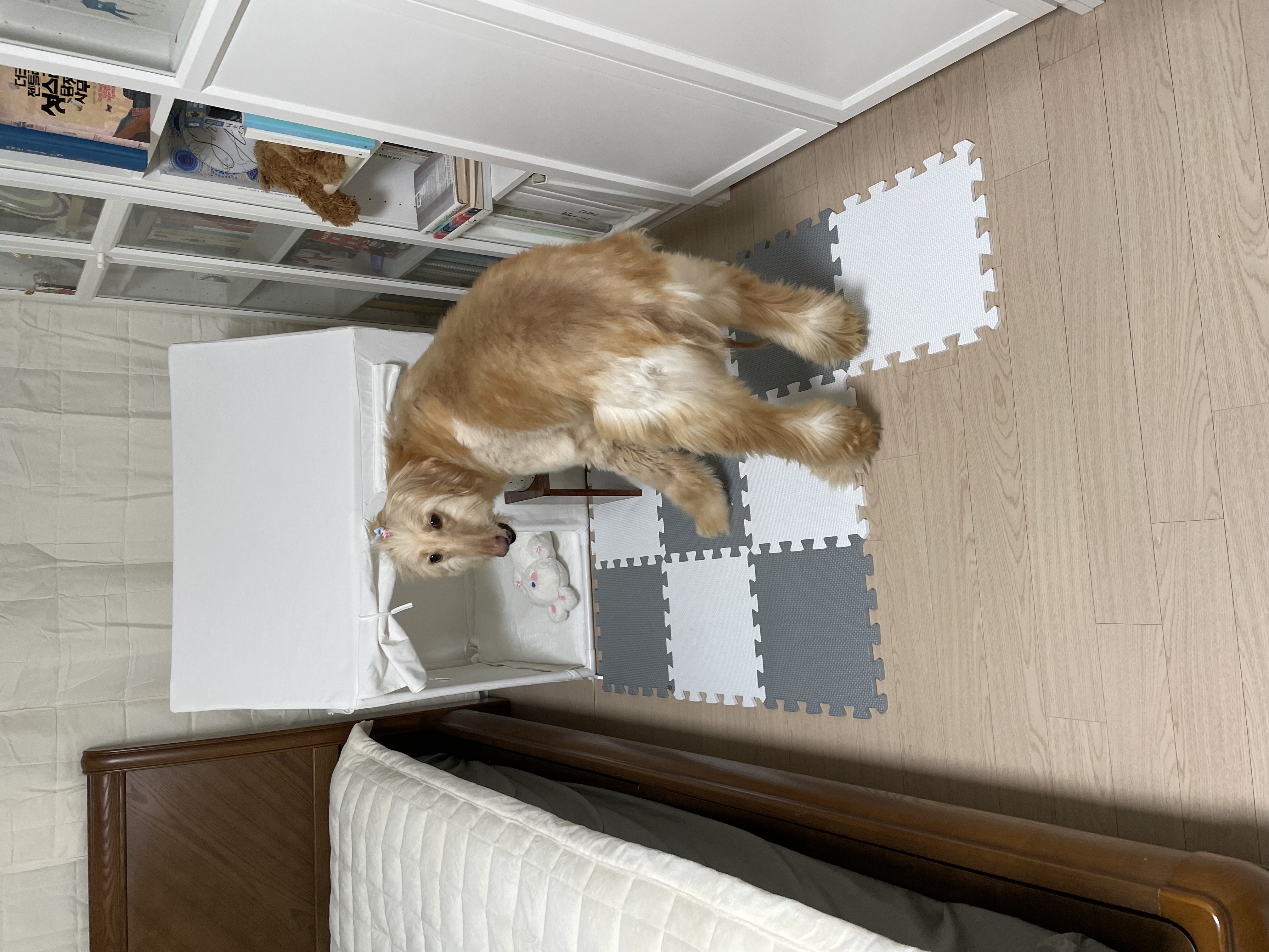 라나는 적응 중!