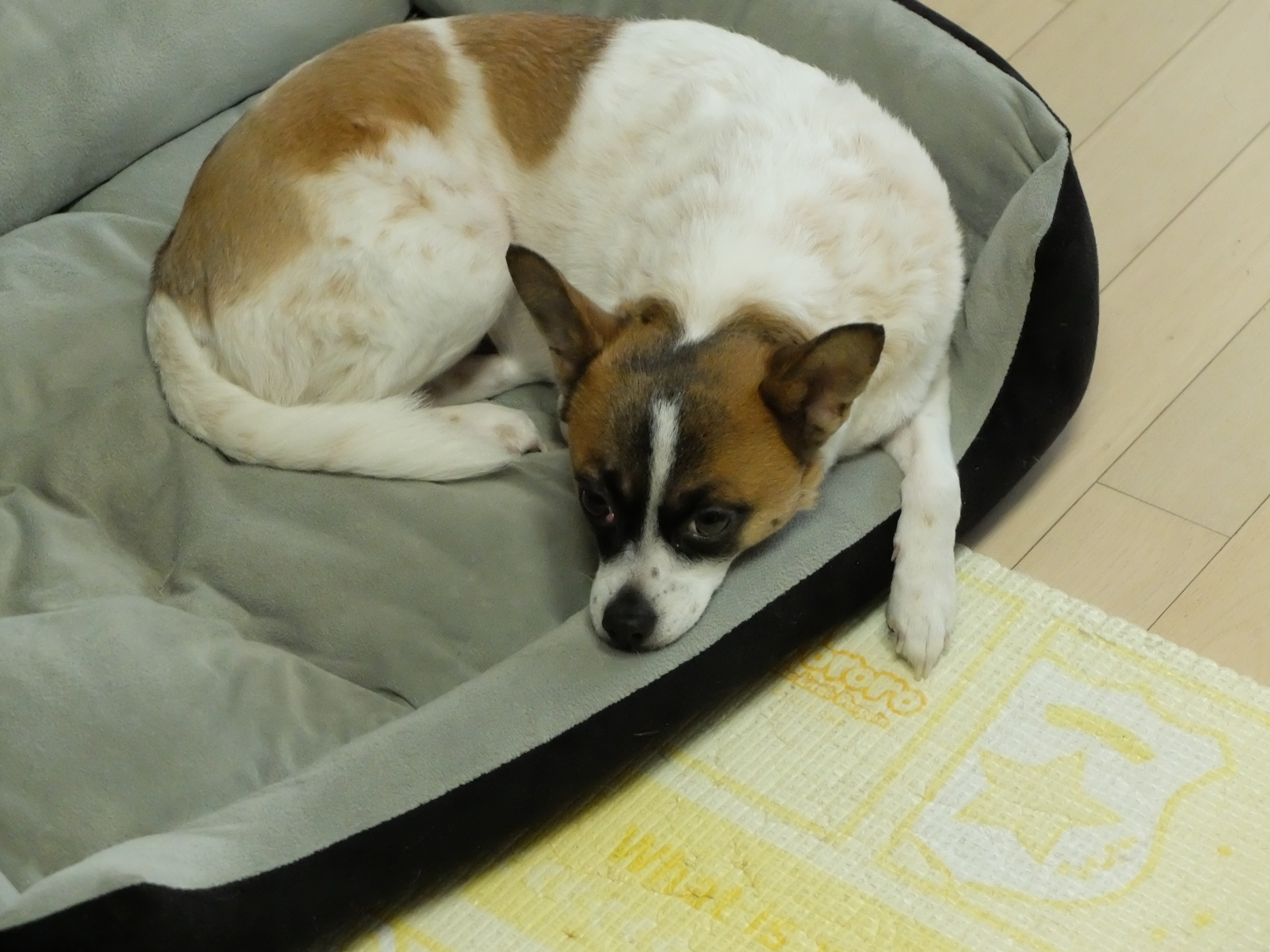 테리 온지 3년된 날