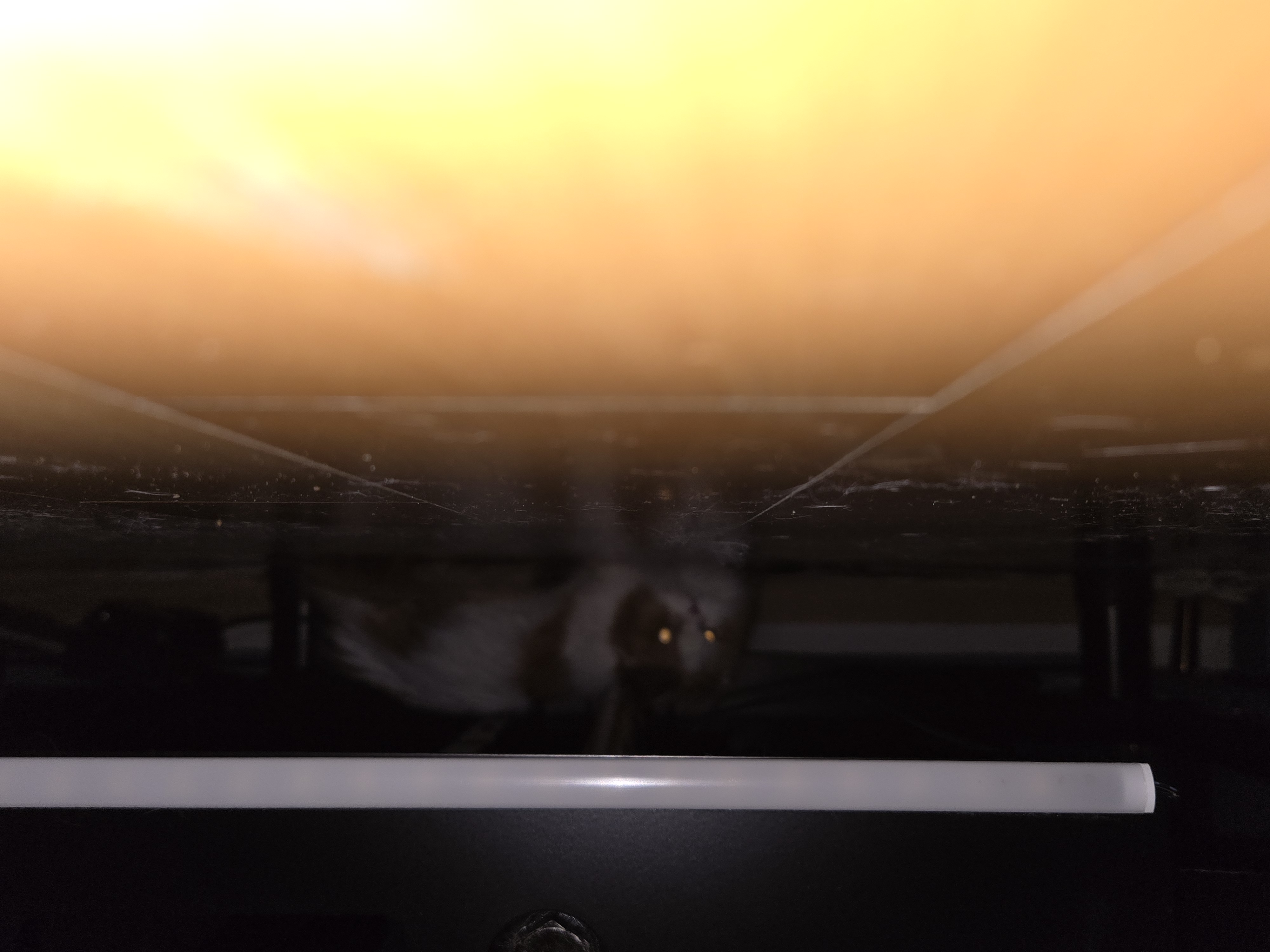 알코가 리시아가 되는날까지  