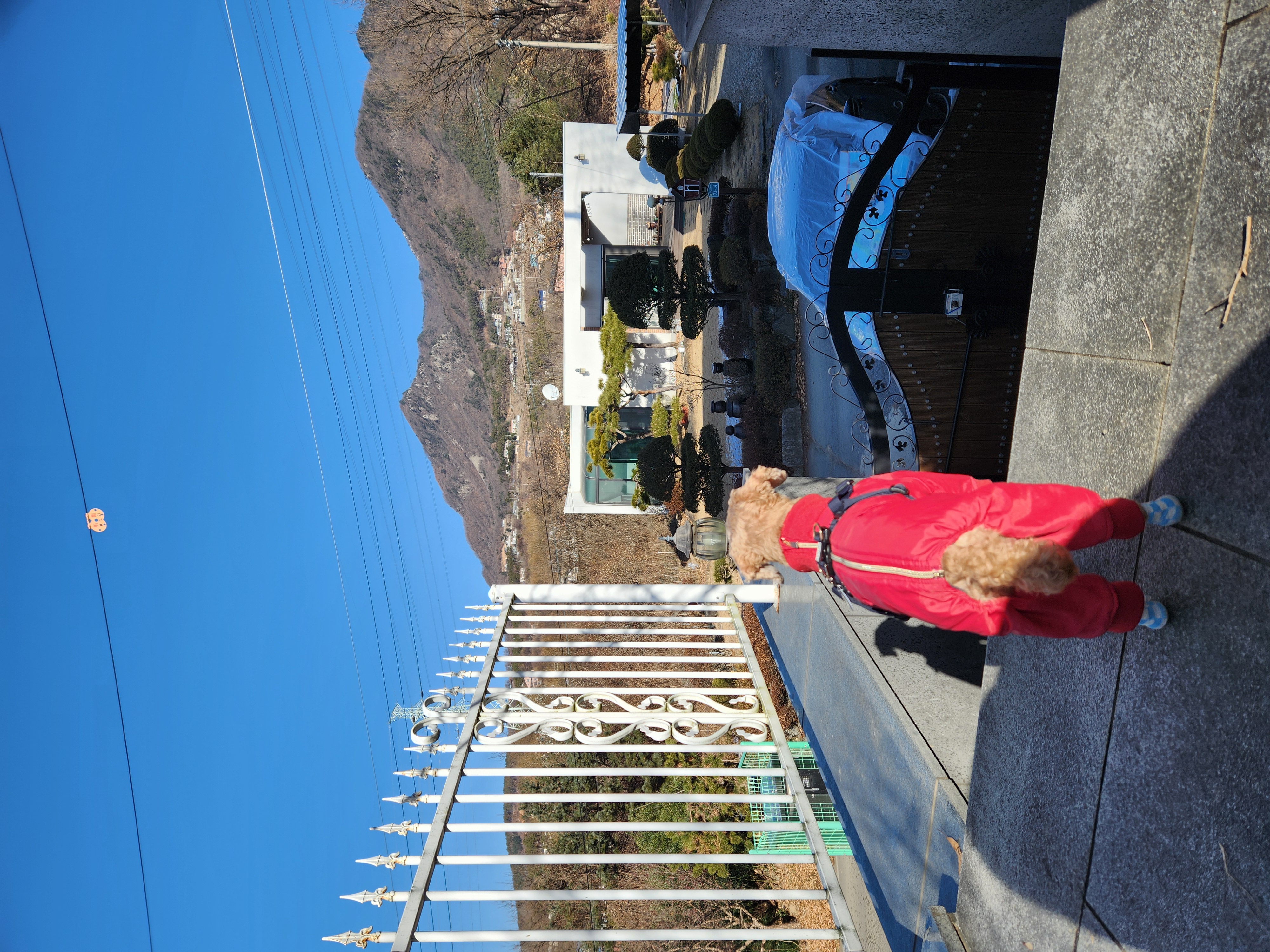 밤송이 인사 드려요