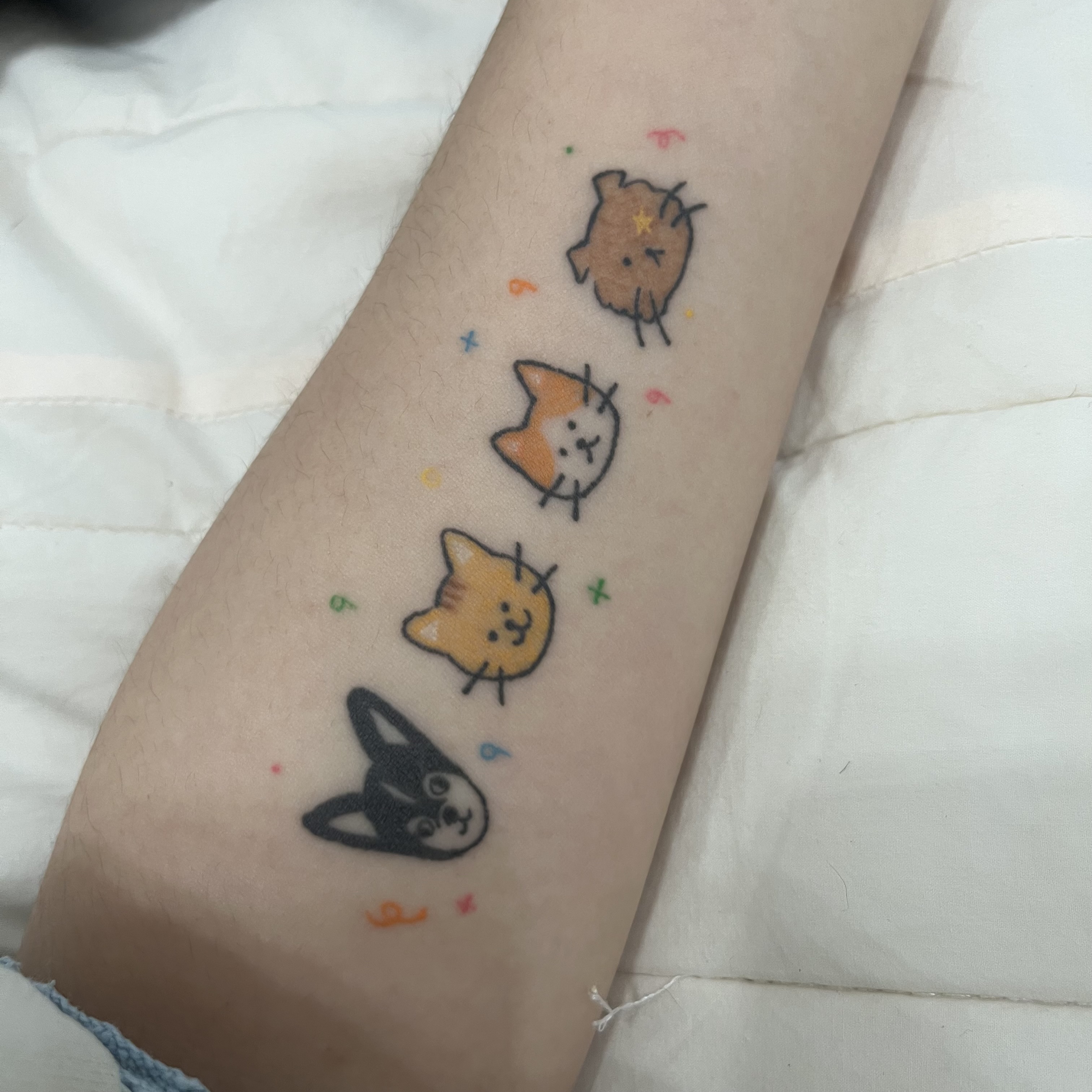 돌고 ‘도라’ 온 만큼 잘 살구 있어요💖