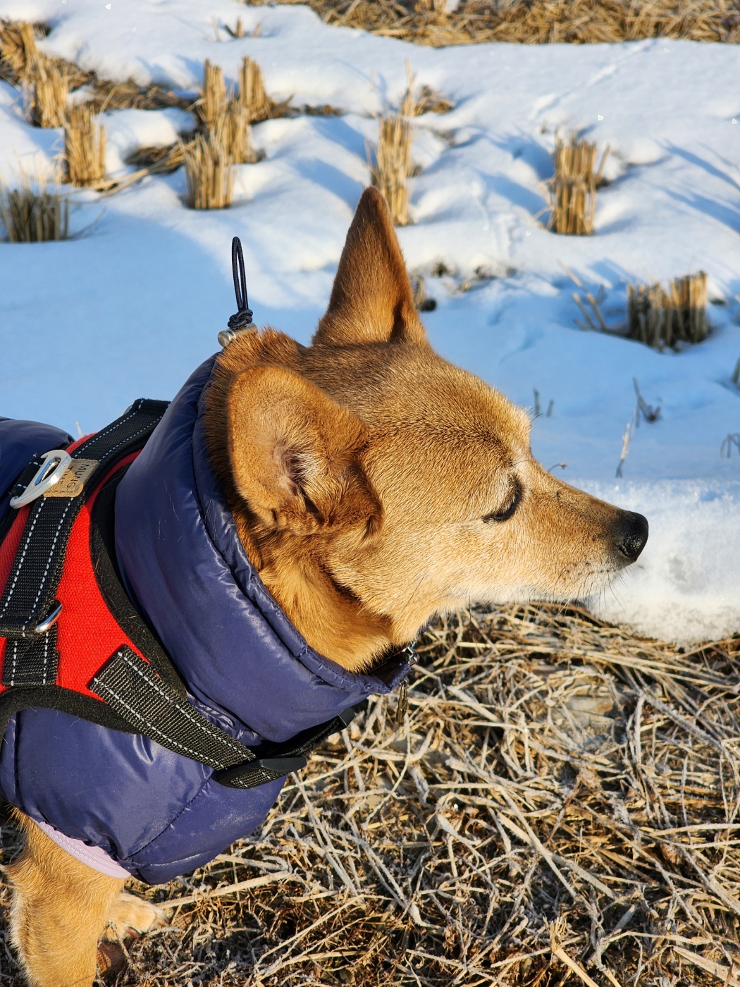 "리카"와 함께 하는 5년! 행복한 동거 생활!