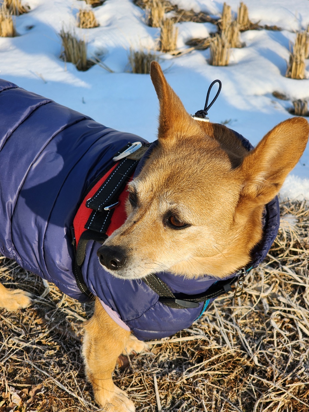 "리카"와 함께 하는 5년! 행복한 동거 생활!
