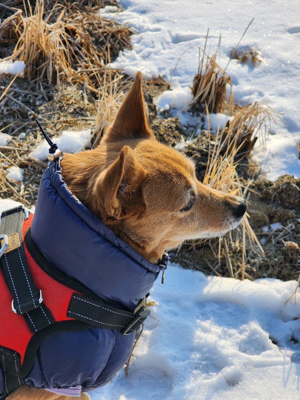 "리카"와 함께 하는 5년! 행복한 동거 생활!