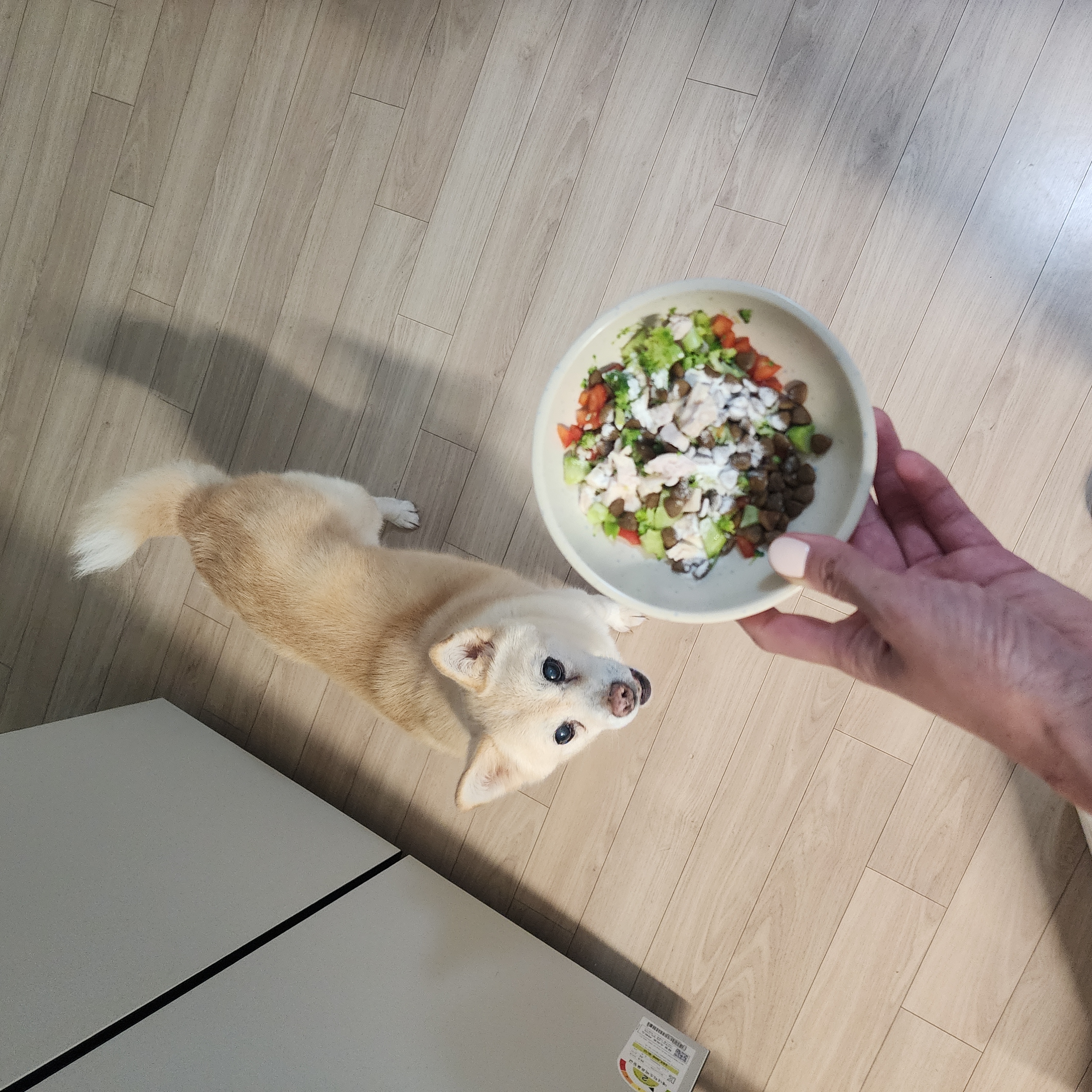 해피추석! 오랜만에 레이입니다:)