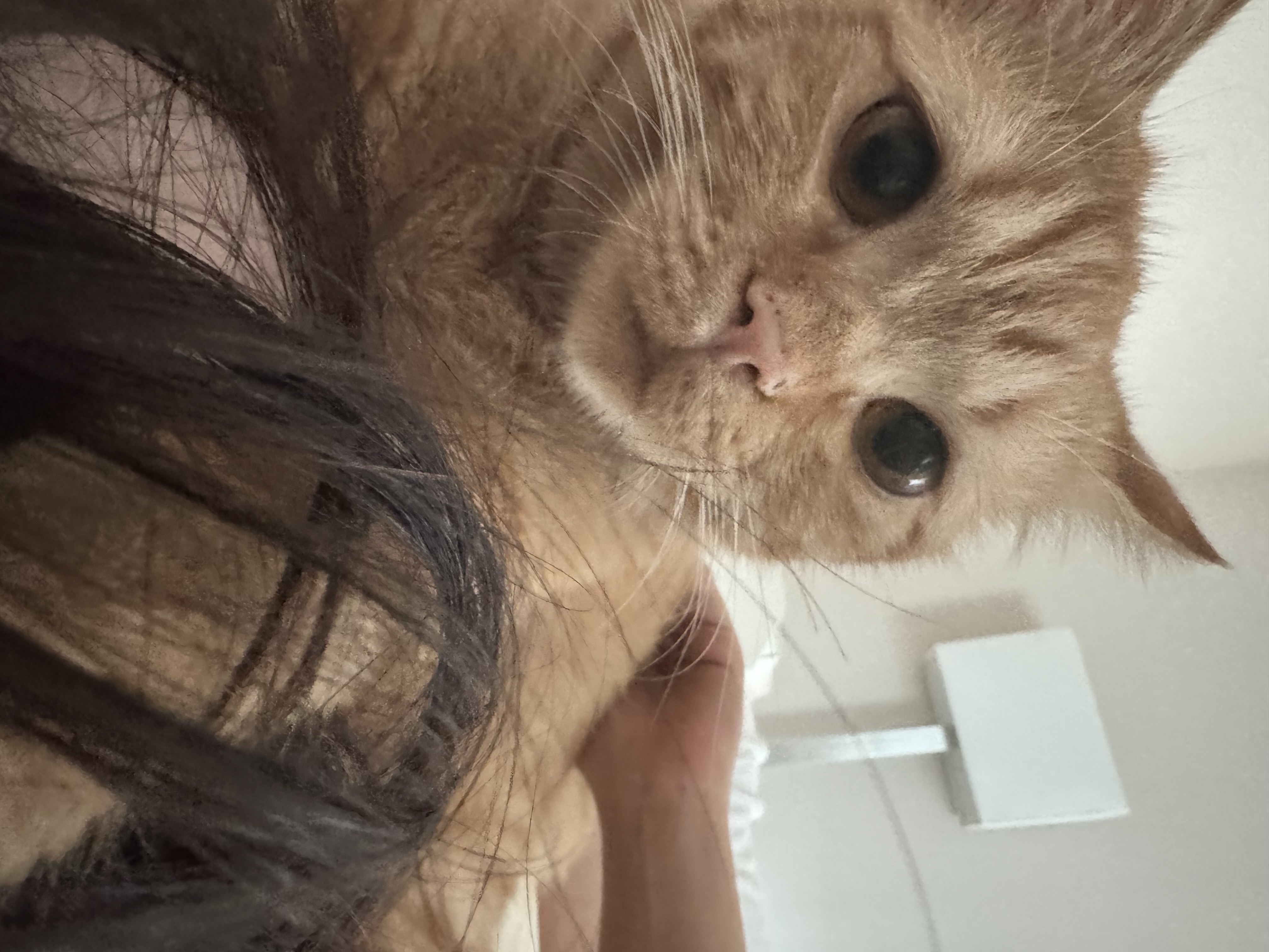 에몽이와 함께한지 벌써 1년이 넘었어요!