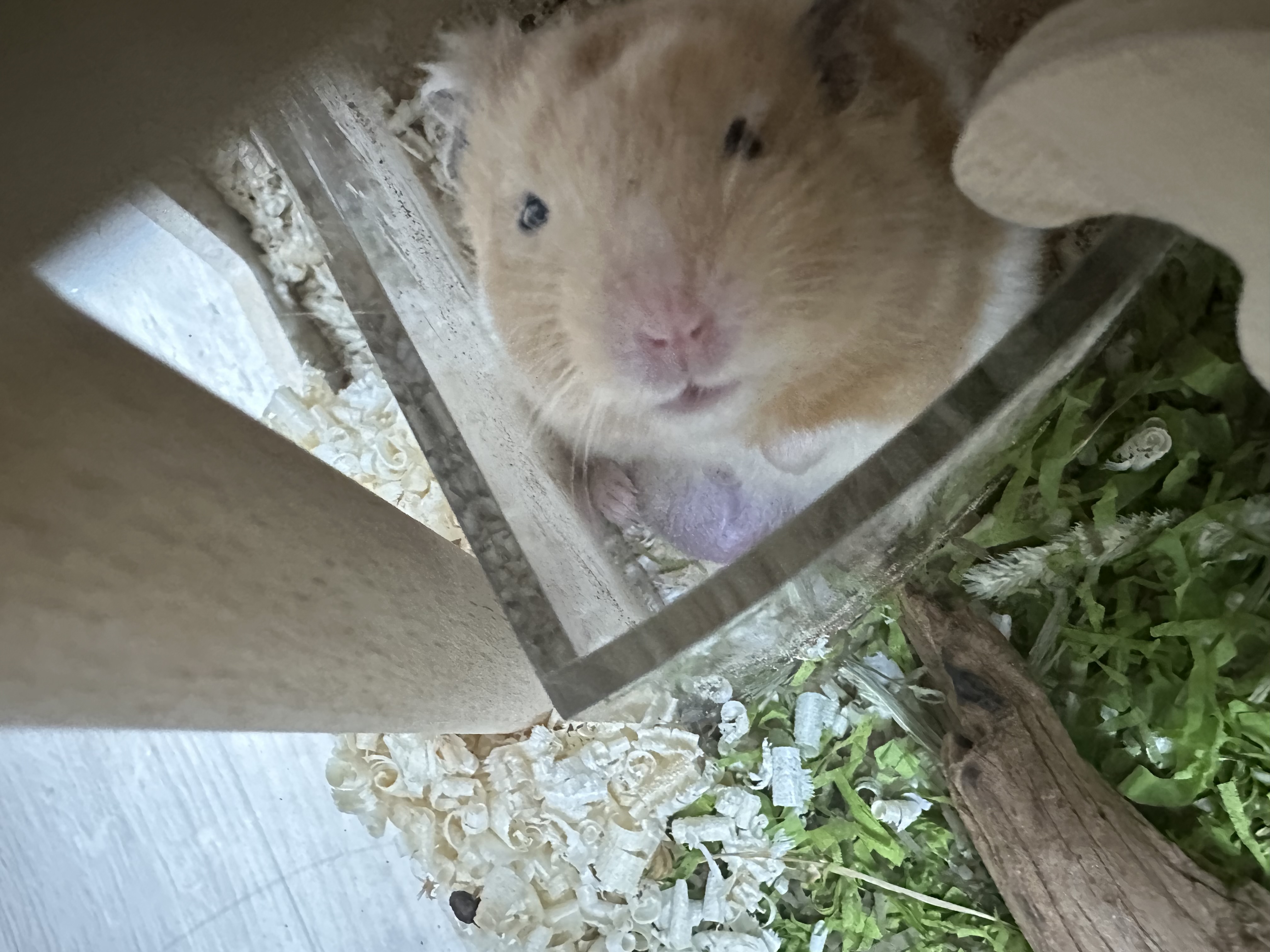 온스터 한달차!!!