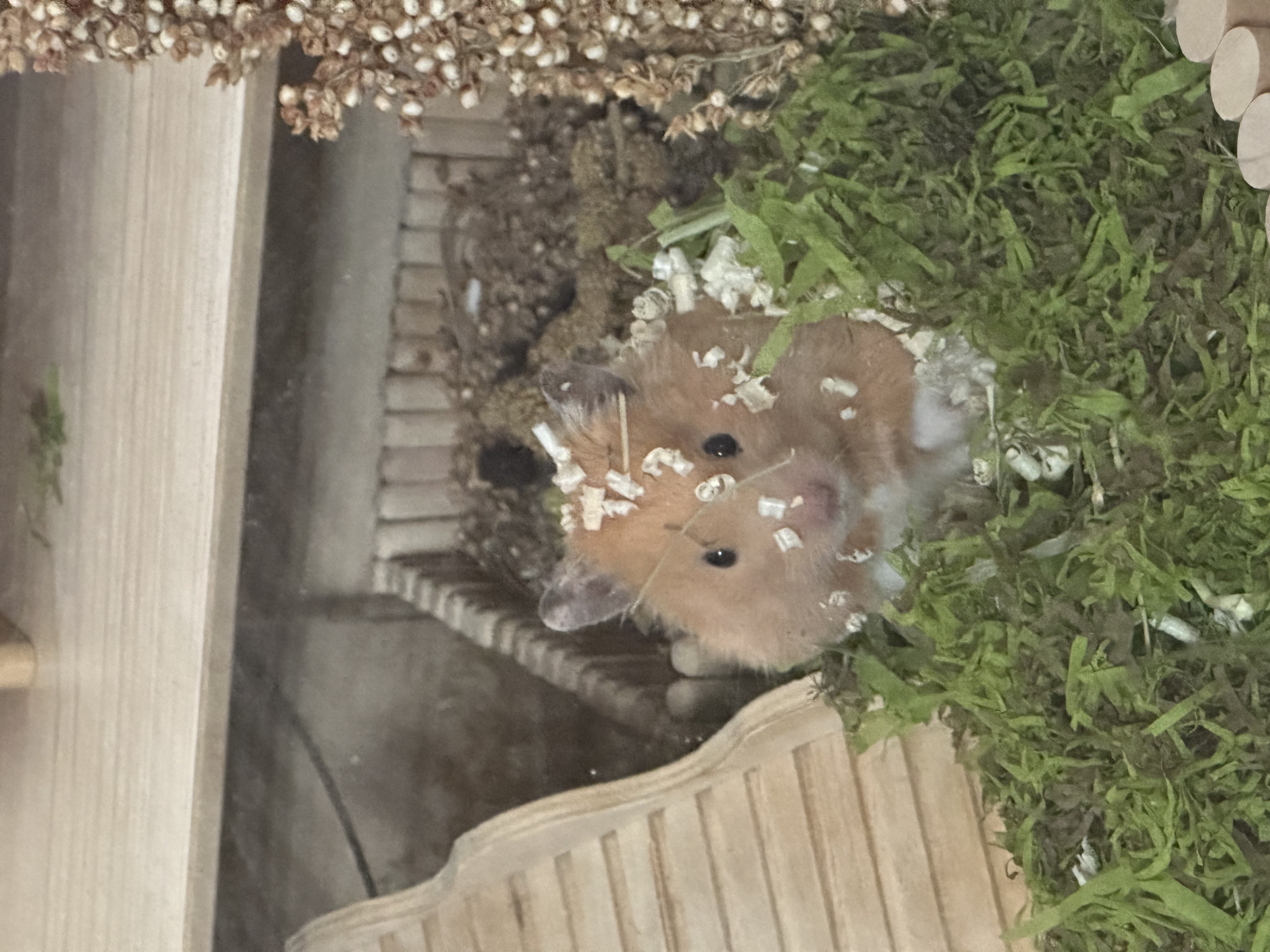 온스터 한달차!!!