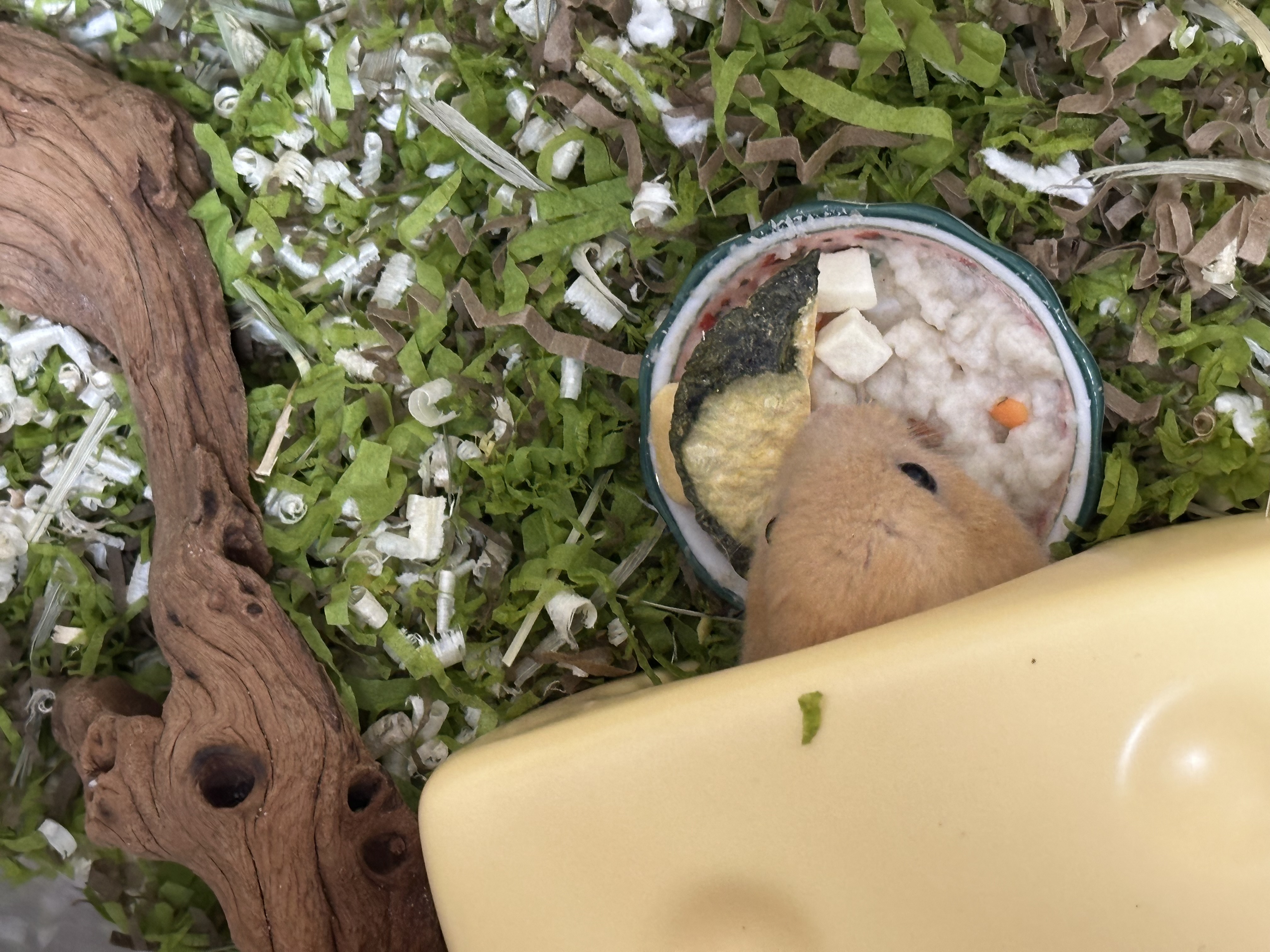 온스터 한달차!!!