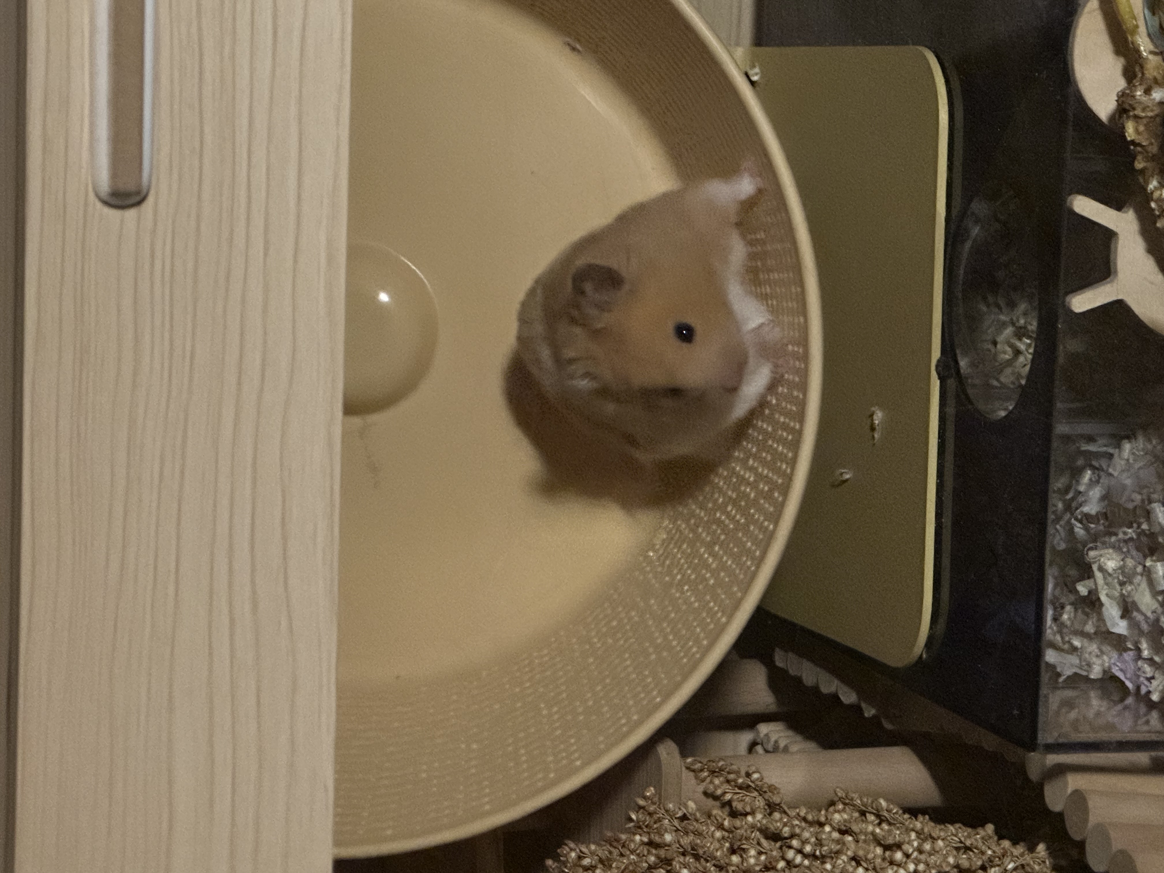 온스터 한달차!!!