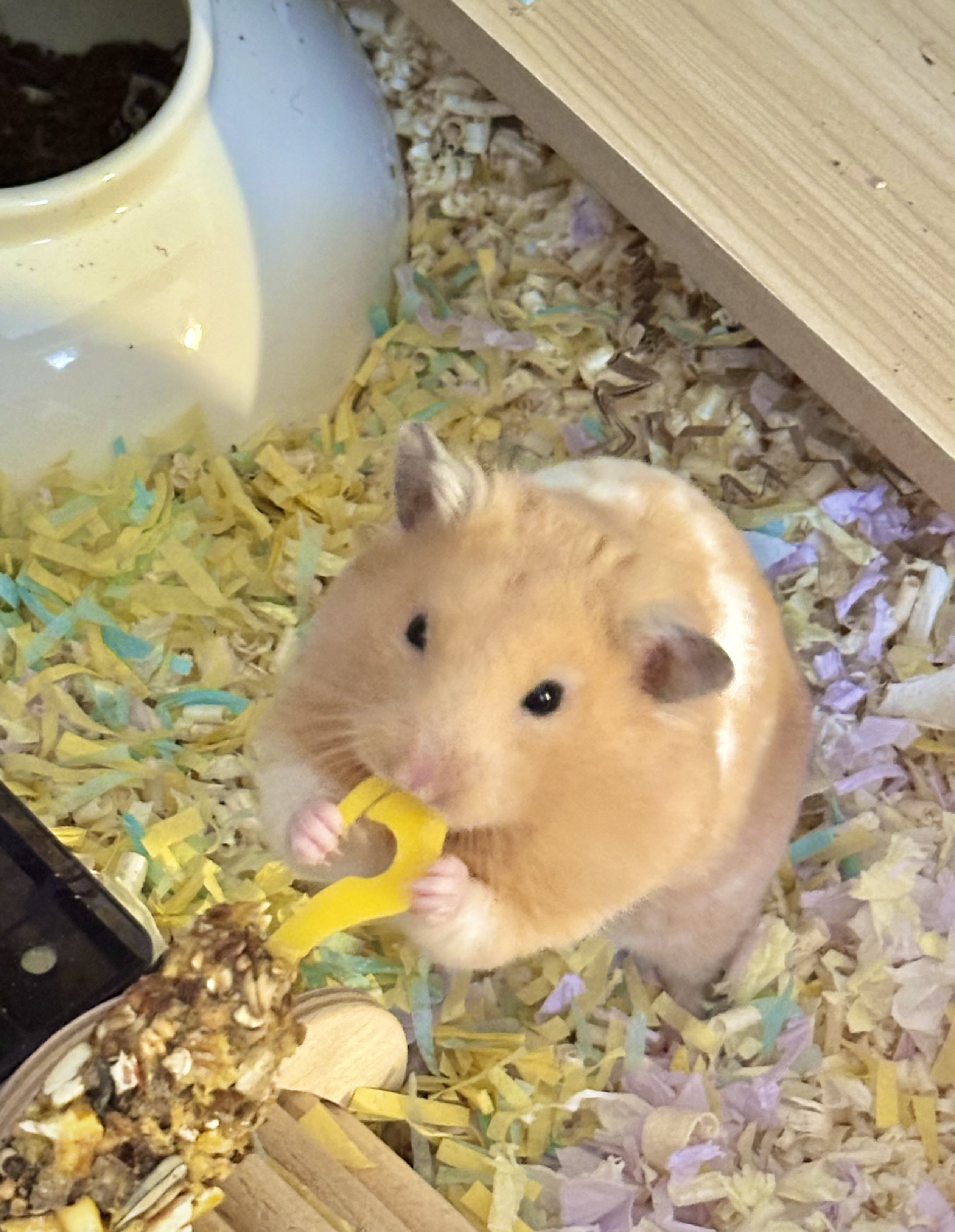 온스터 한달차!!!