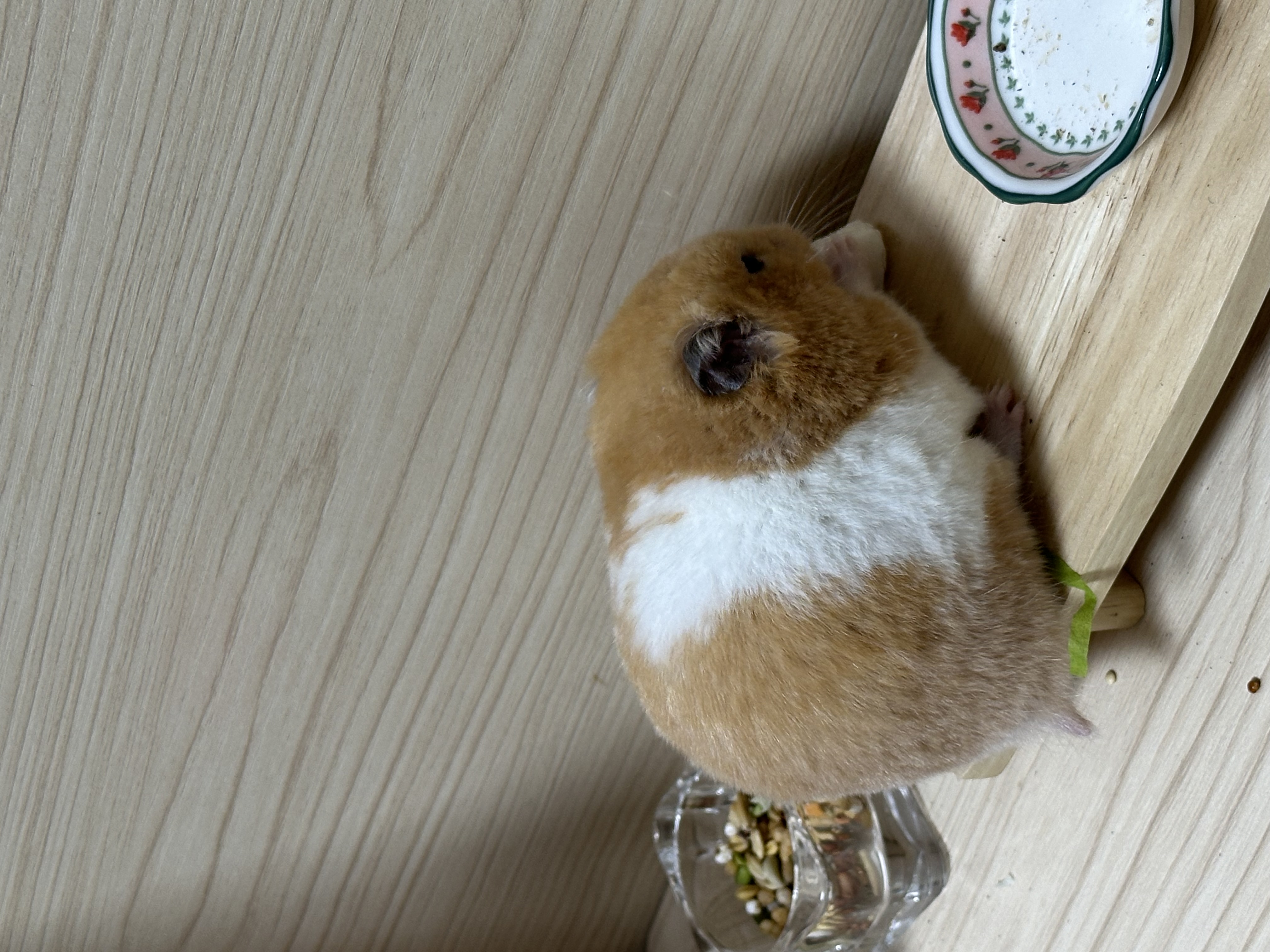 온스터 한달차!!!